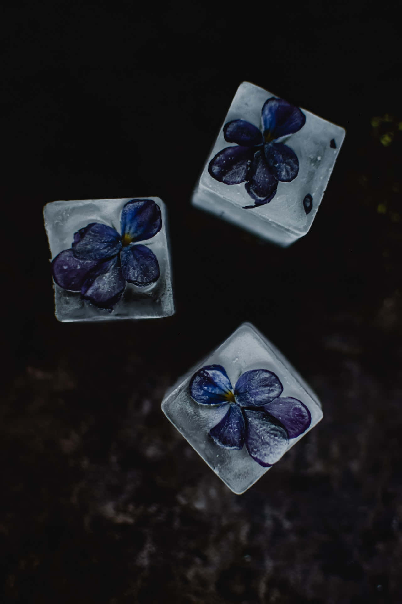 Frozen Blue Flowers Phone Fundal