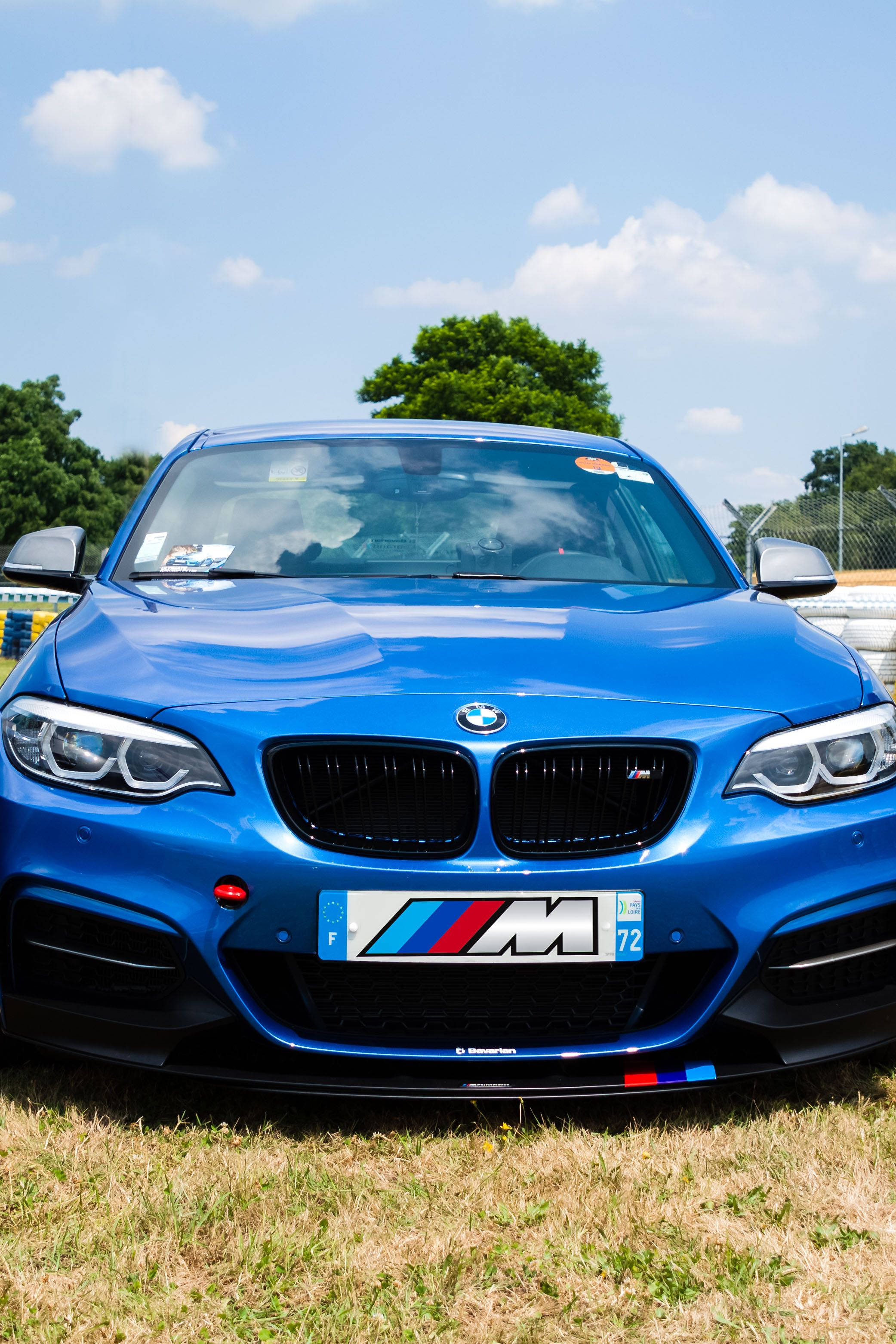 Frumoasă BMW Albastră pe un Circuit de Curse Fundal