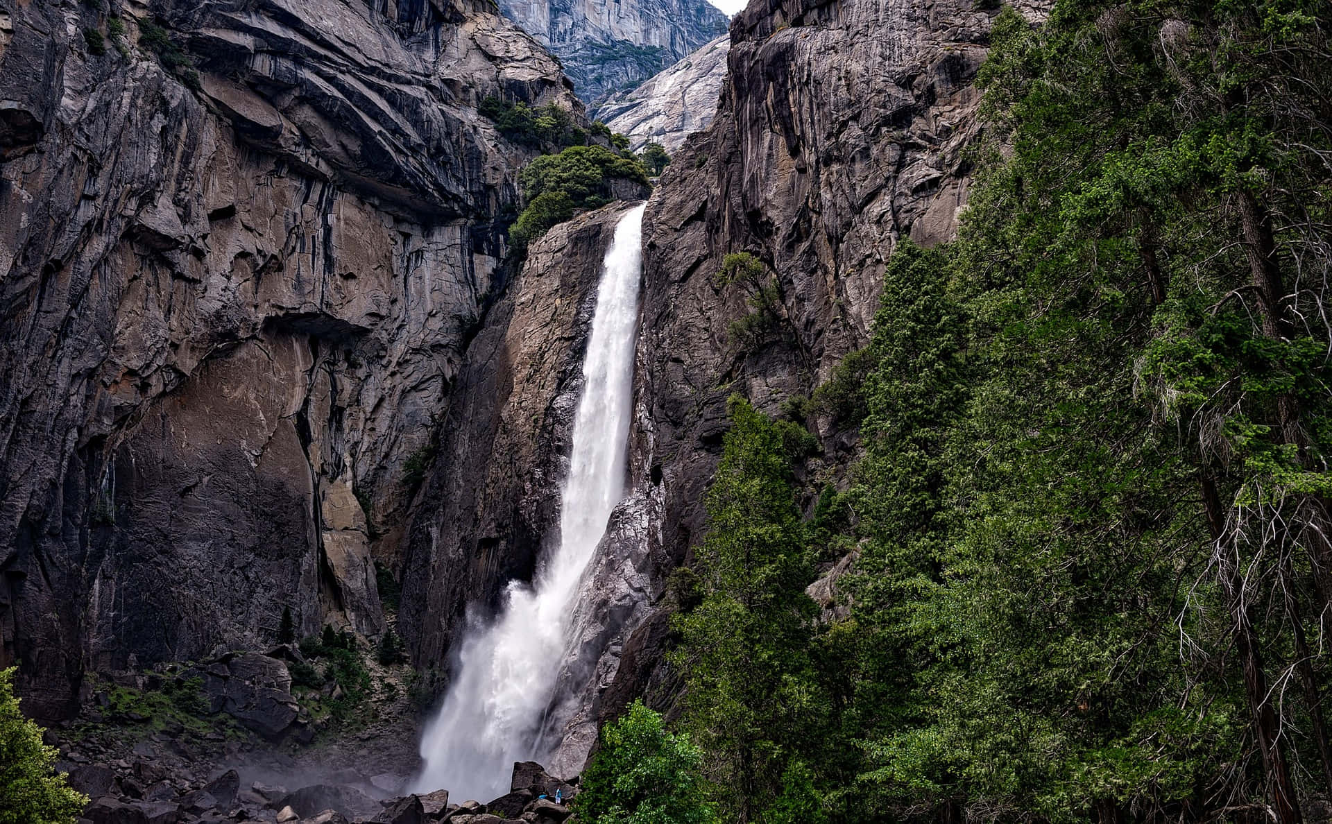 Frumoasa Cascadă Yosemite din Pădure Imagine Fundal