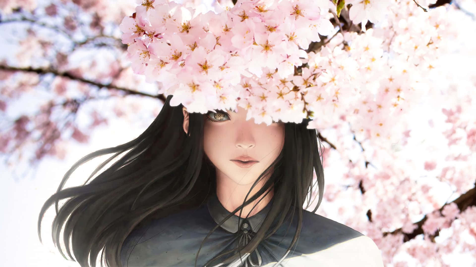 Frumoasă fată cu păr negru și flori de sakura anime Fundal