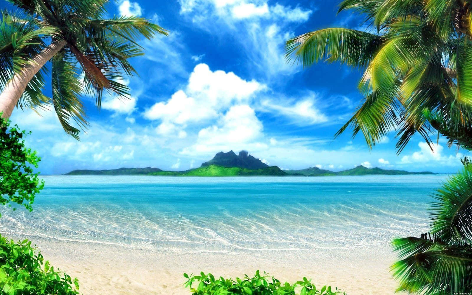 Frumos fundal de desktop cu insulă tropicală pictată Fundal