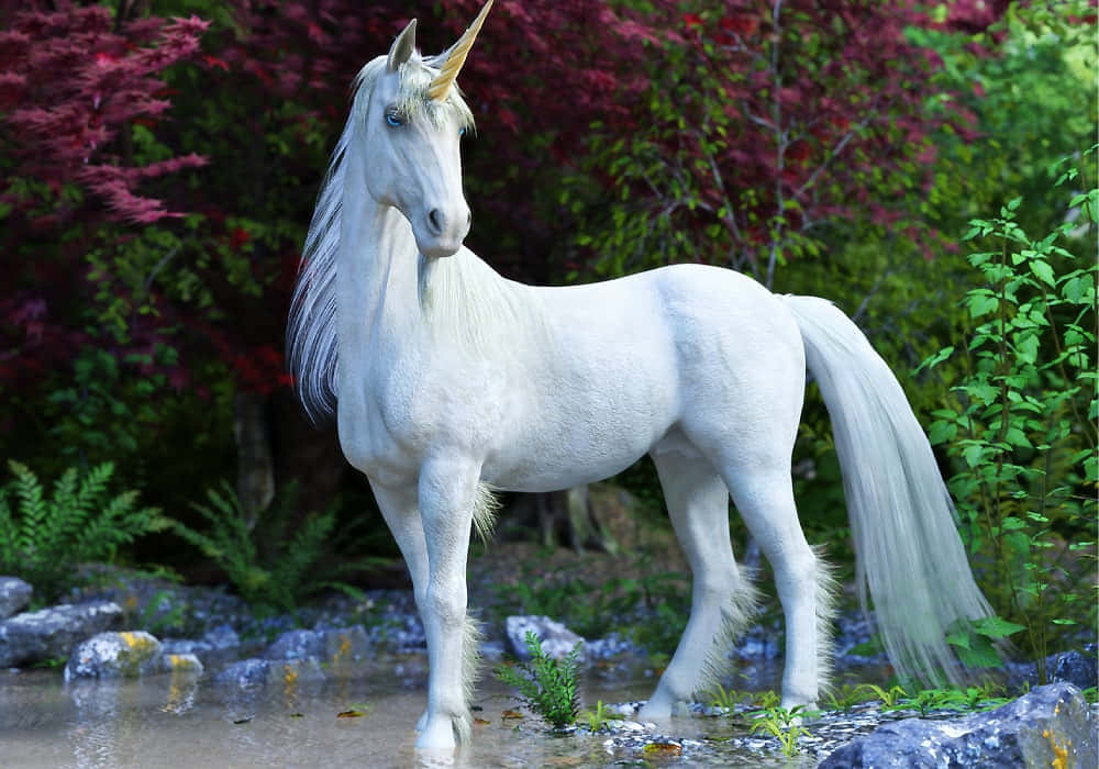 Frumos unicorn odihnindu-se în iaz Fundal