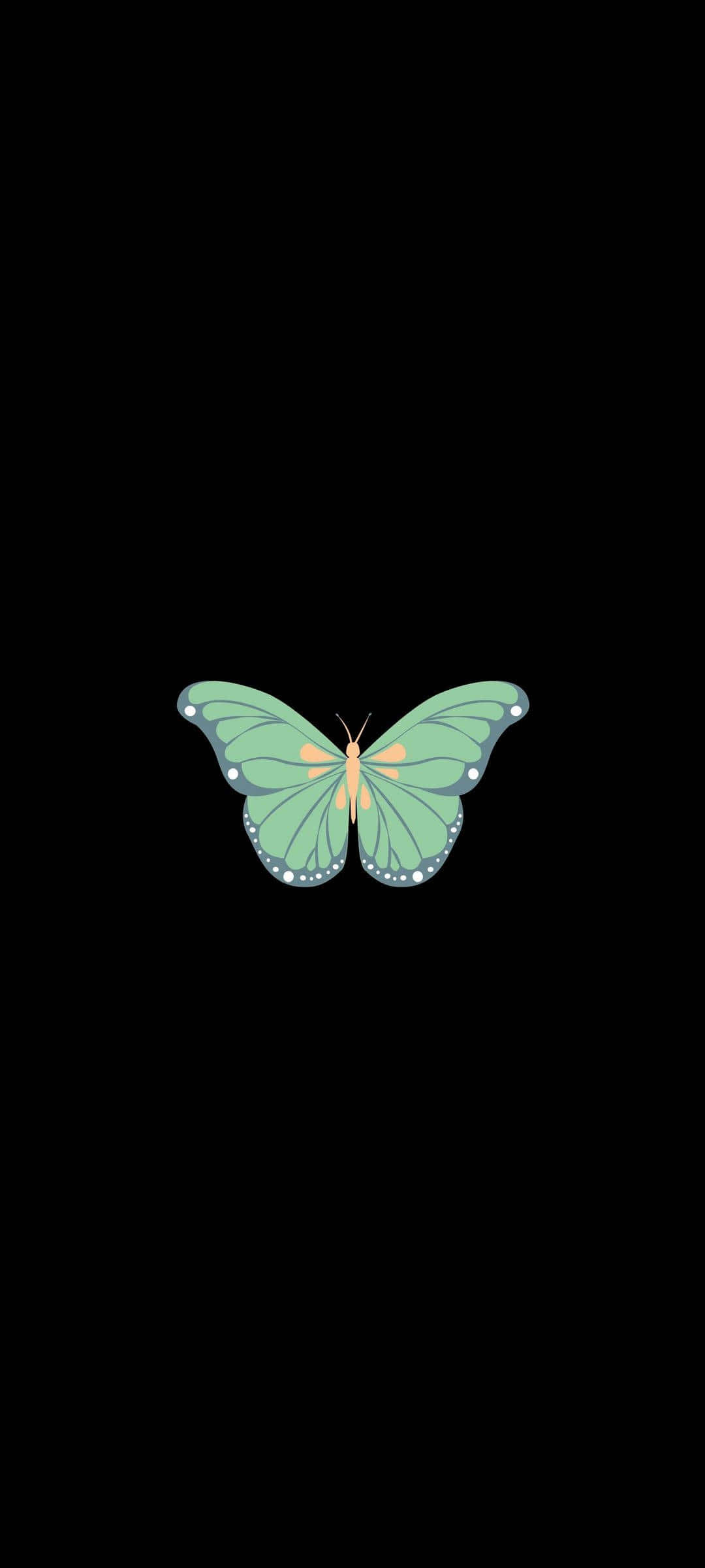 Frumusețea naturii - un fluture verde delicat Fundal