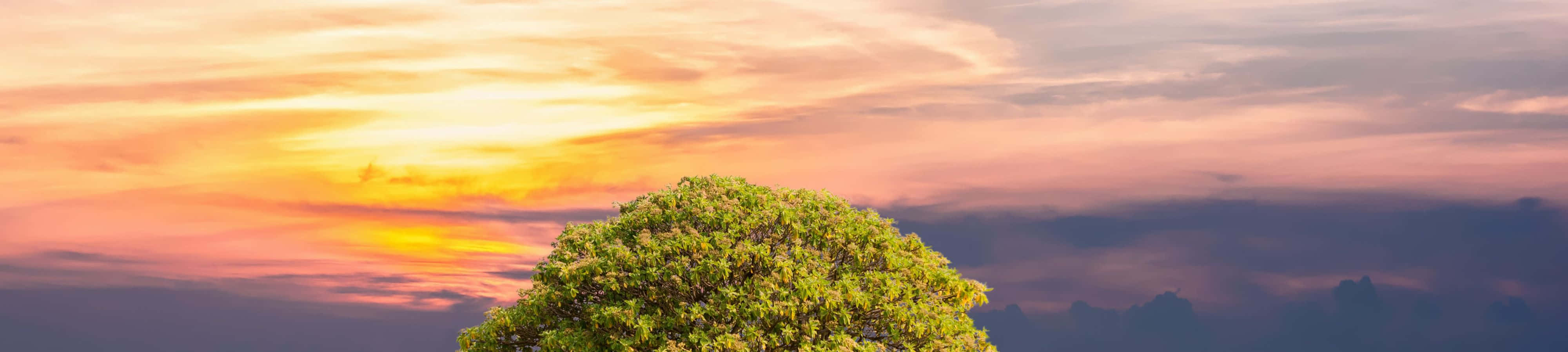 Frumusețea naturii la apus Fundal