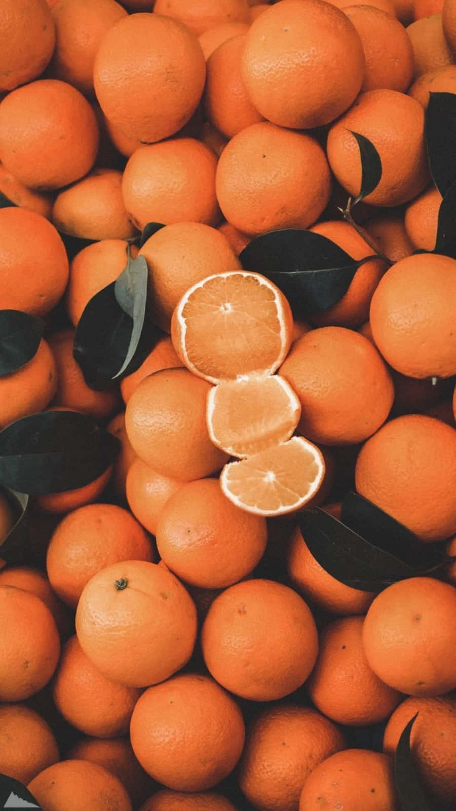 Frumusețea naturală vine în multe culori, inclusiv portocaliul 🍊 Fundal