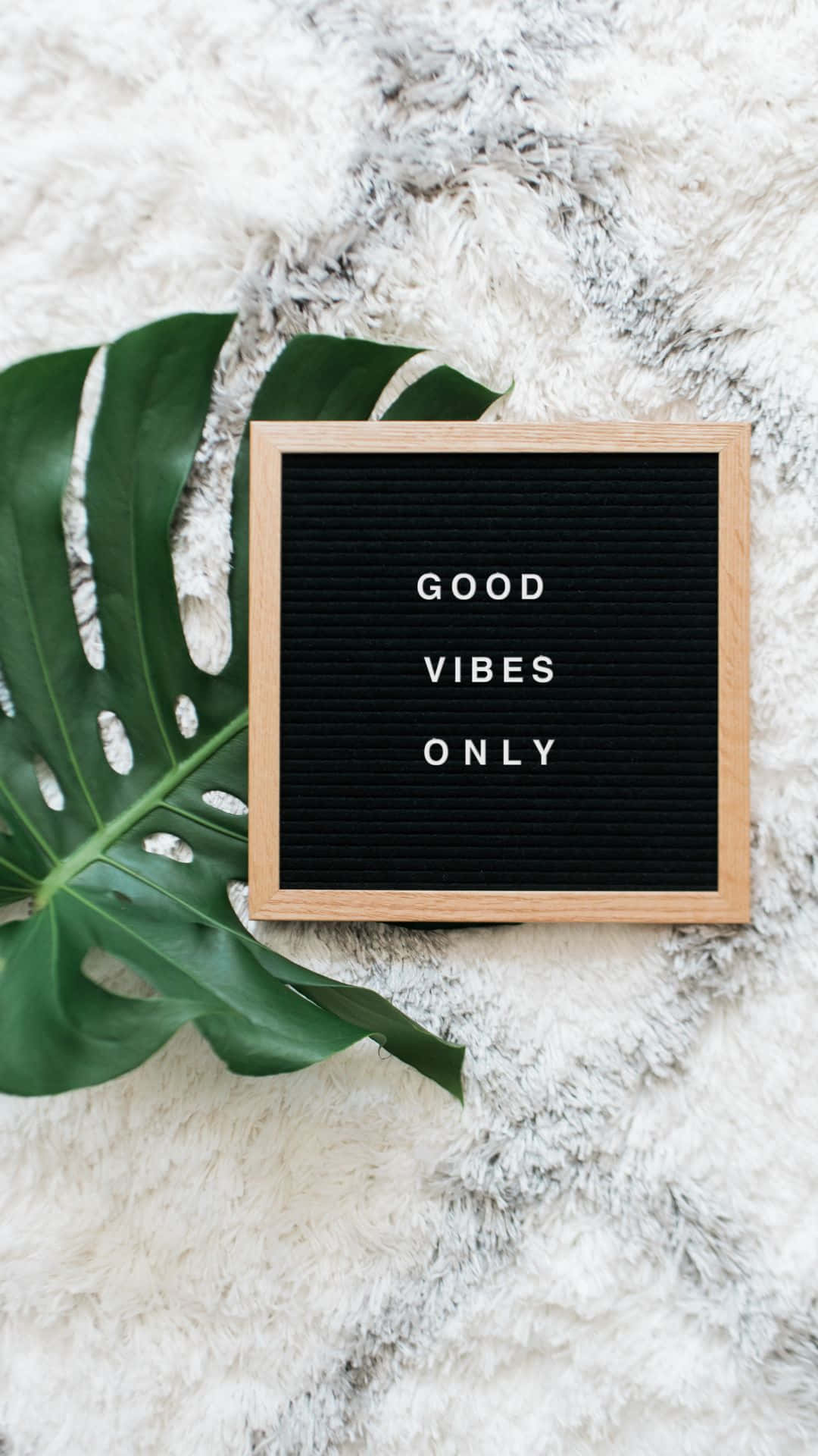 Frunză de Monstera Good Vibes iPhone Fundal