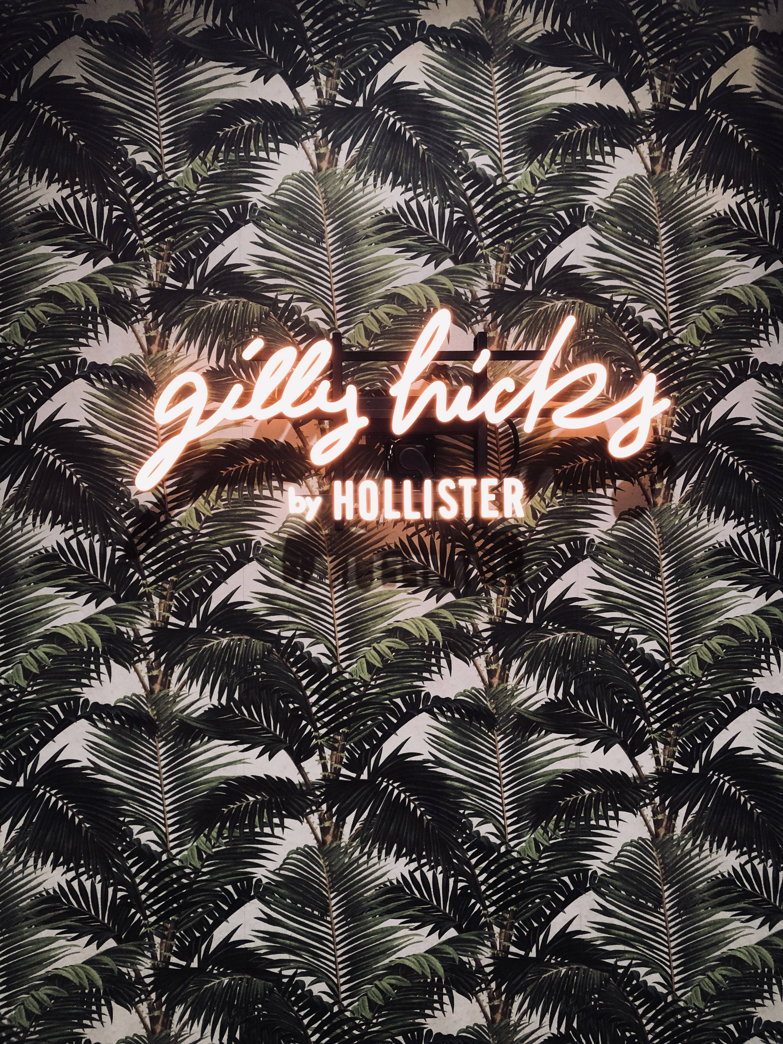 Frunze de Palmier Hollister Fundal