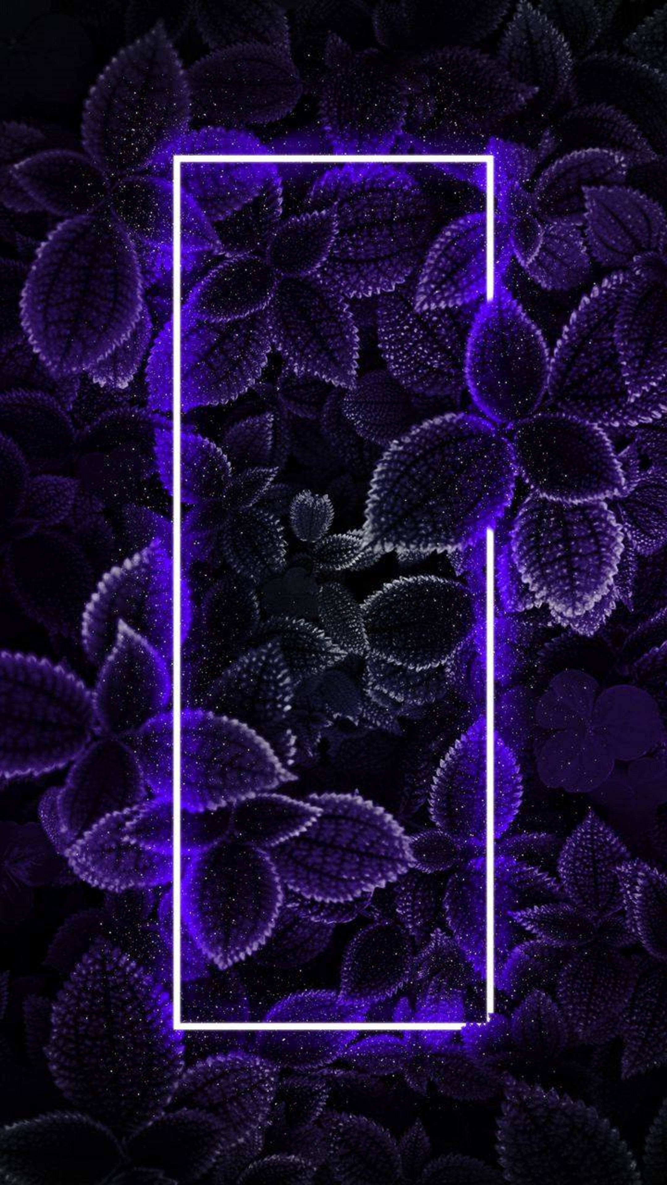 Frunze neon iPhone 4K Fundal