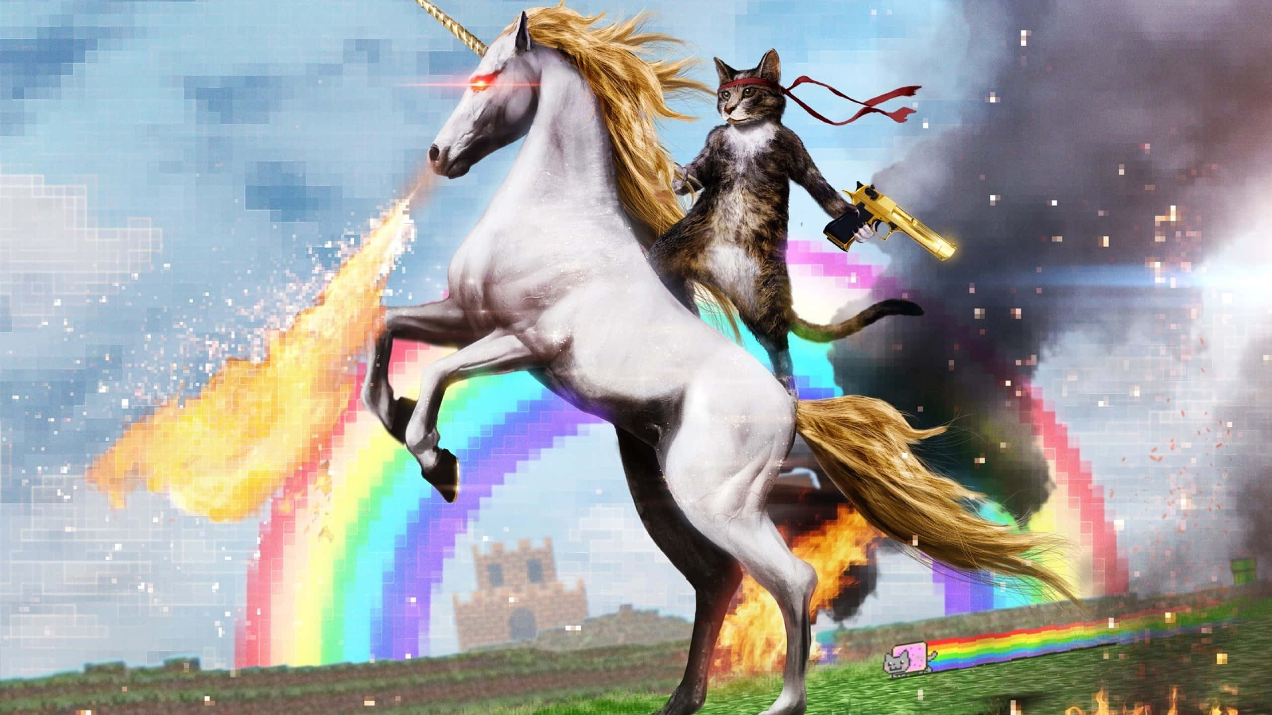 Fundal amuzant cu unicorn și pisică Fundal