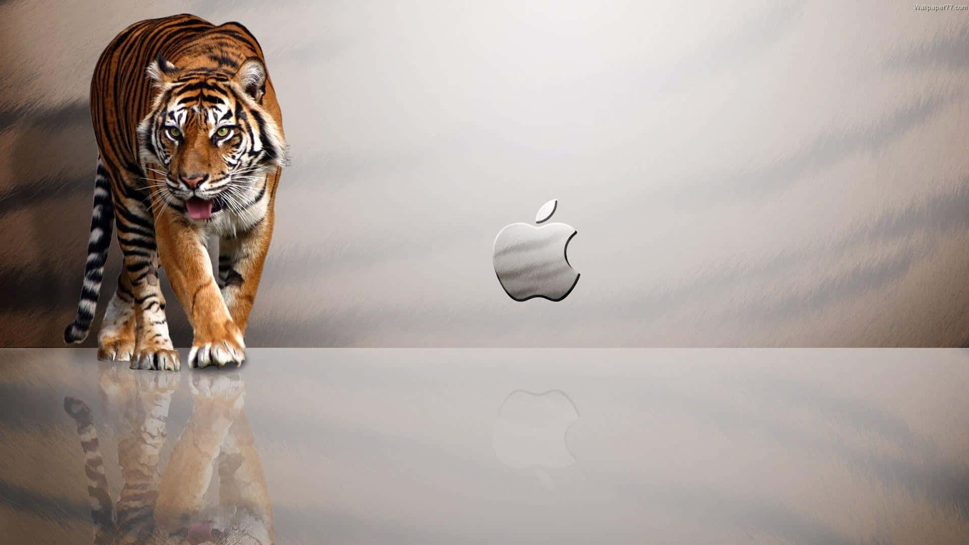 Fundal Apple 1920x1080 cu Dungi de Tigru Fundal