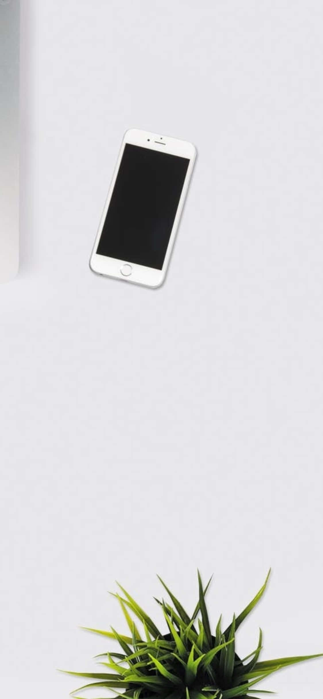 Fundal Birou iPhone X Telefon Alb Cu O Plantă de Interior Fundal