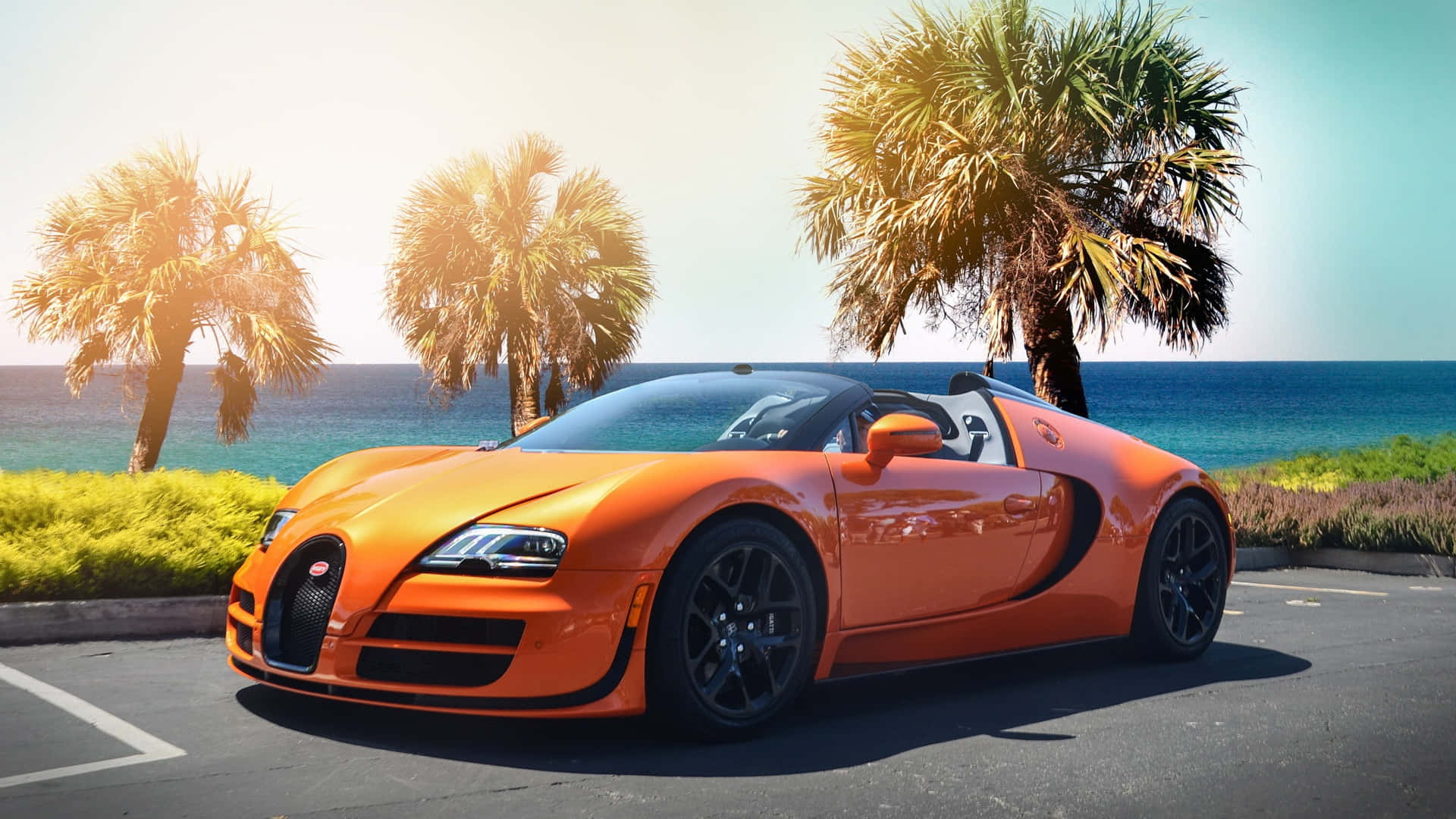 Fundal Bugatti Fundal