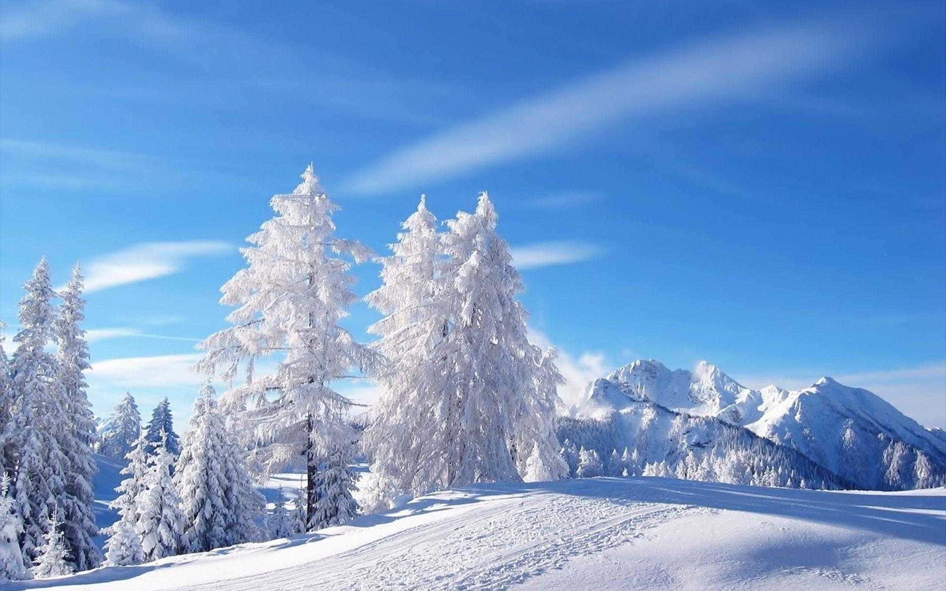 Fundal cu munte acoperit de zăpadă și peisaj de iarnă Fundal