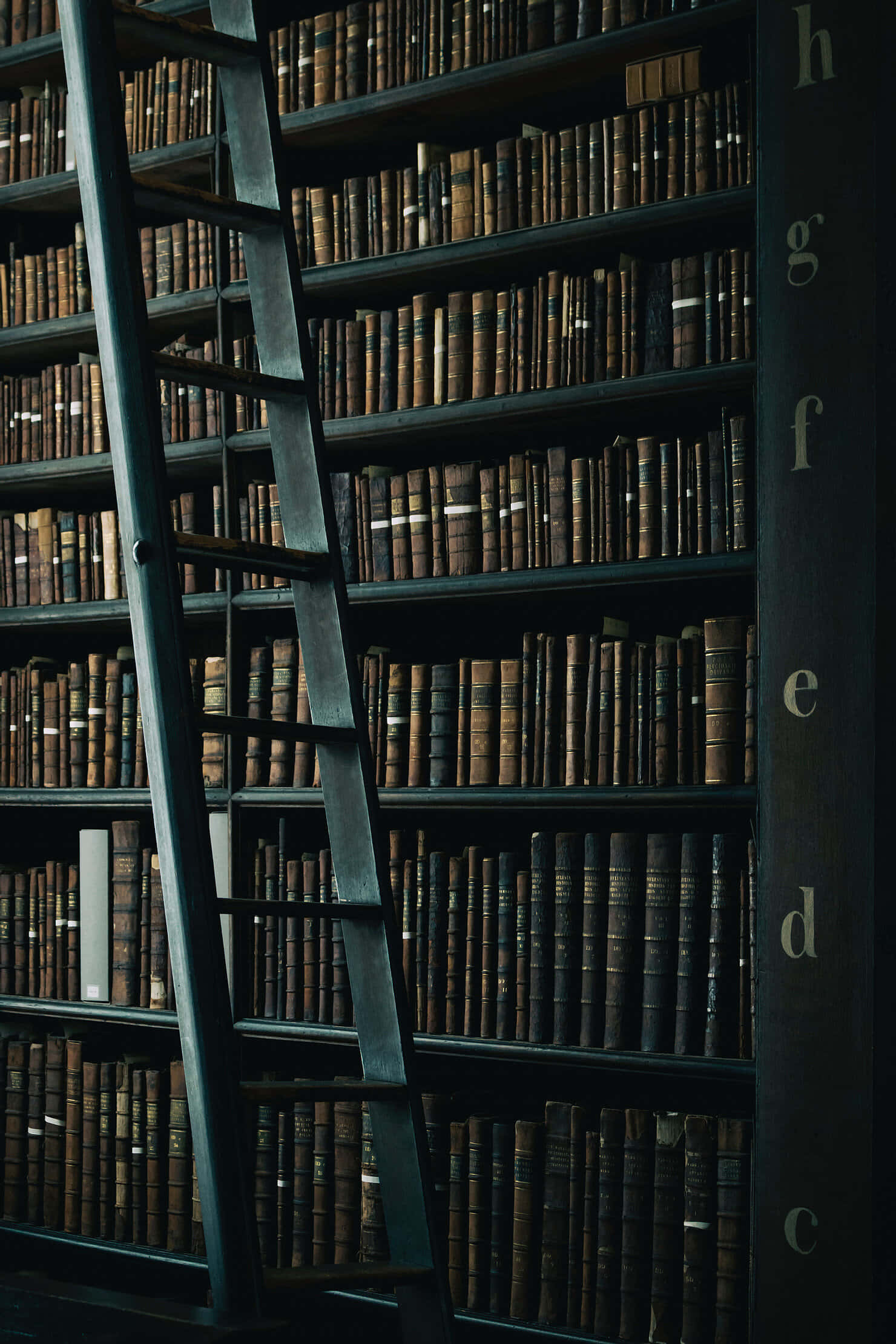 Fundal Dark Academia Fundal