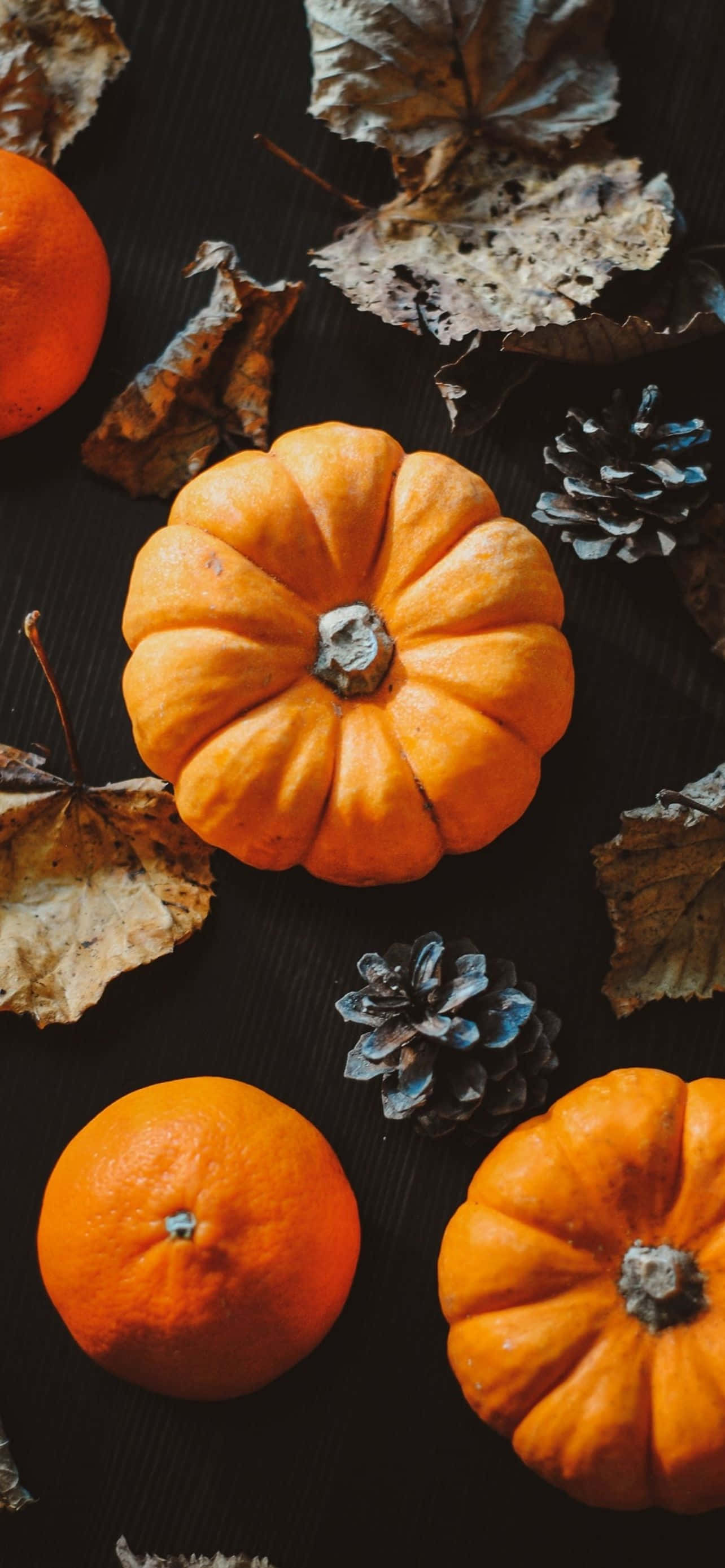 Fundal de Halloween cu Lună Sperioasă pentru iPhone Fundal