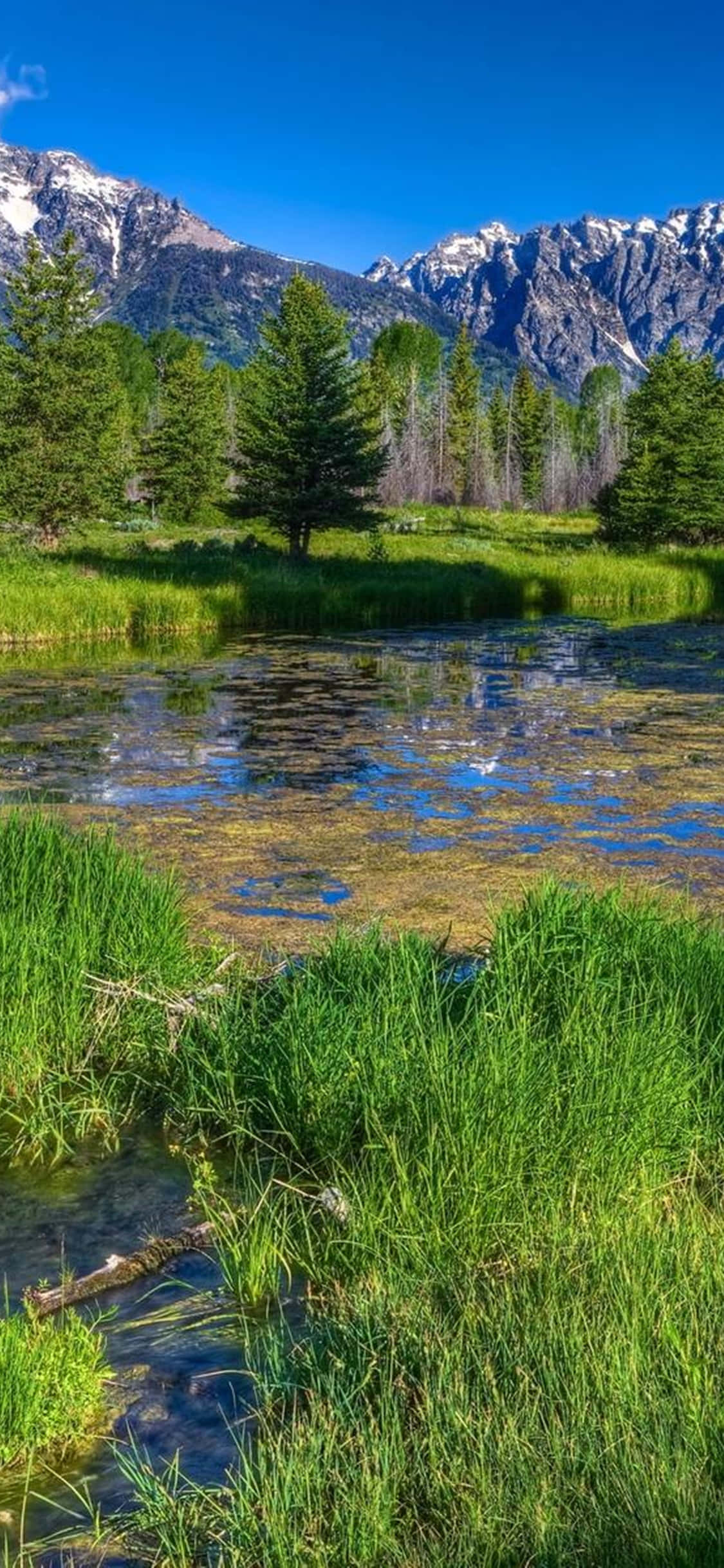 iPhone Xs Desktop Pc Nature Background Fundal