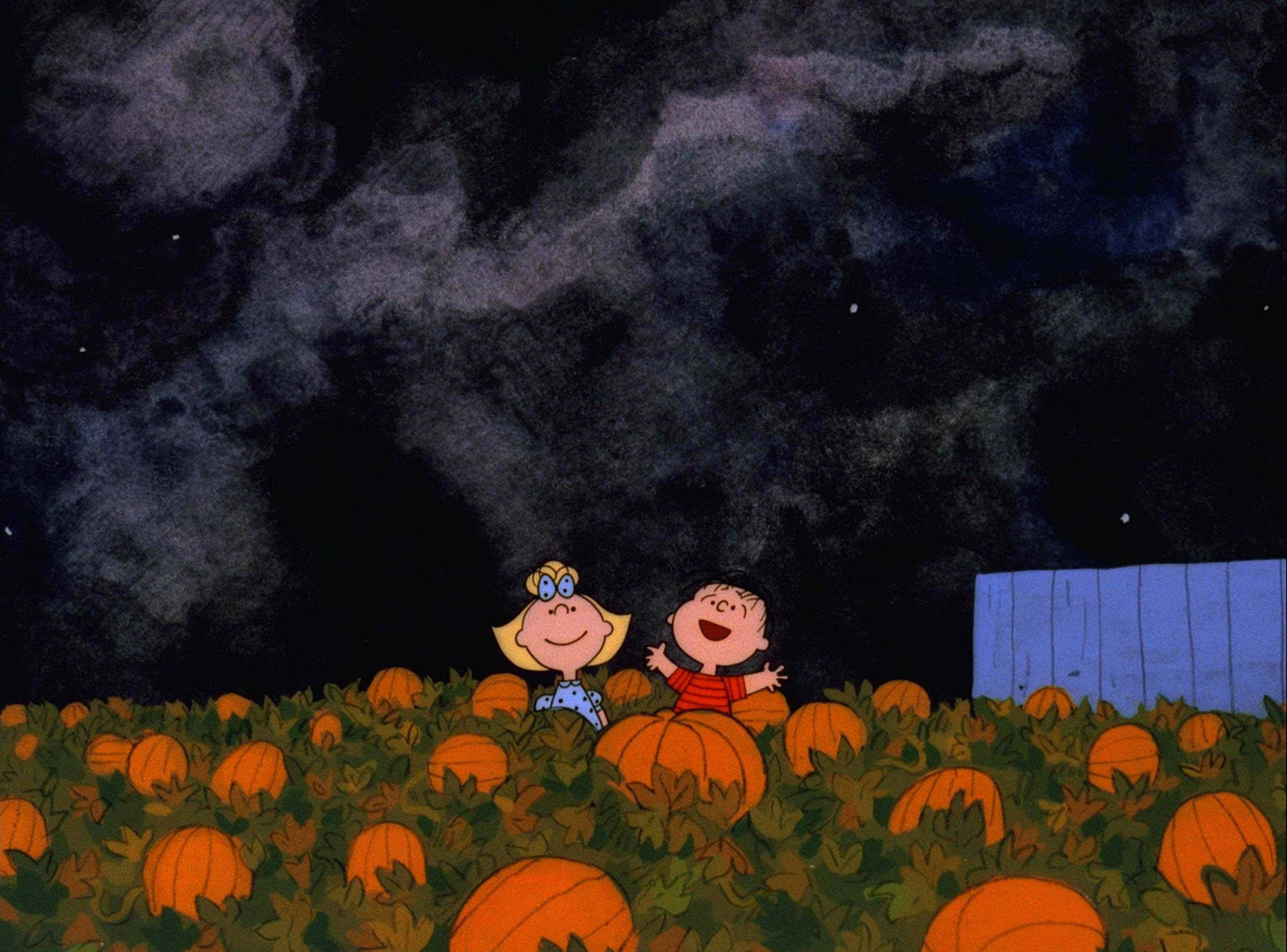 Fundal estetic de Halloween cu personaje Peanuts în câmp de dovleci Fundal
