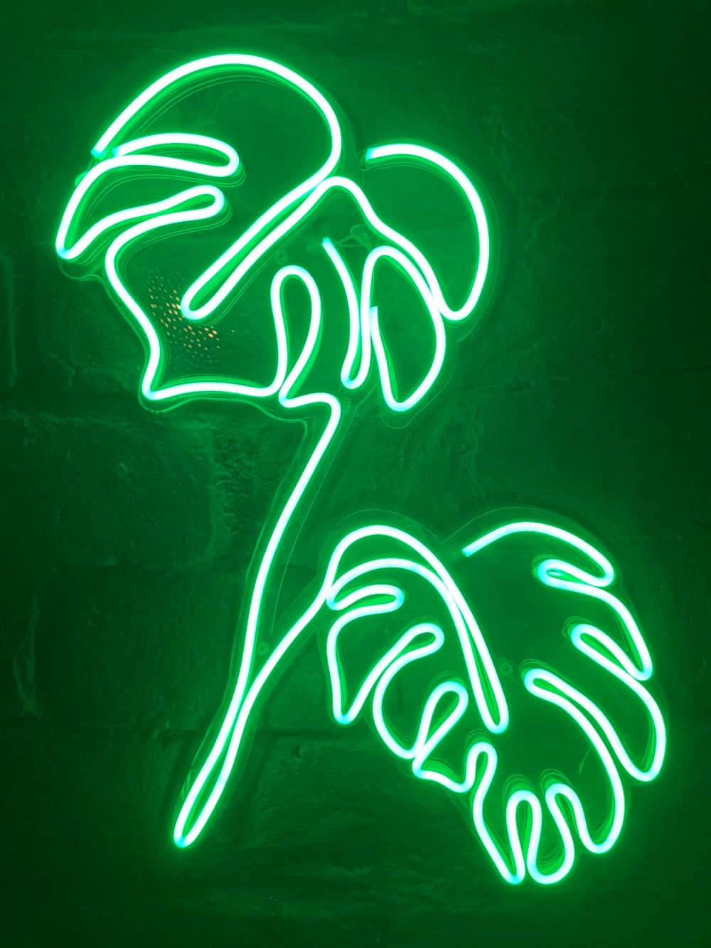 Fundal estetic verde neon vibrant Fundal