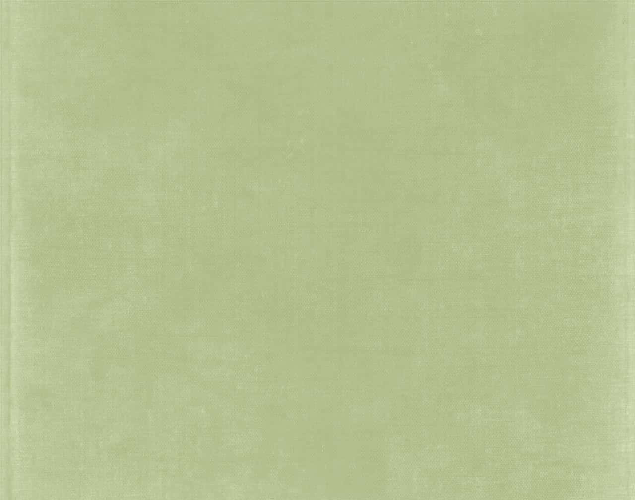 Fundal estetic verde salvie senin Fundal