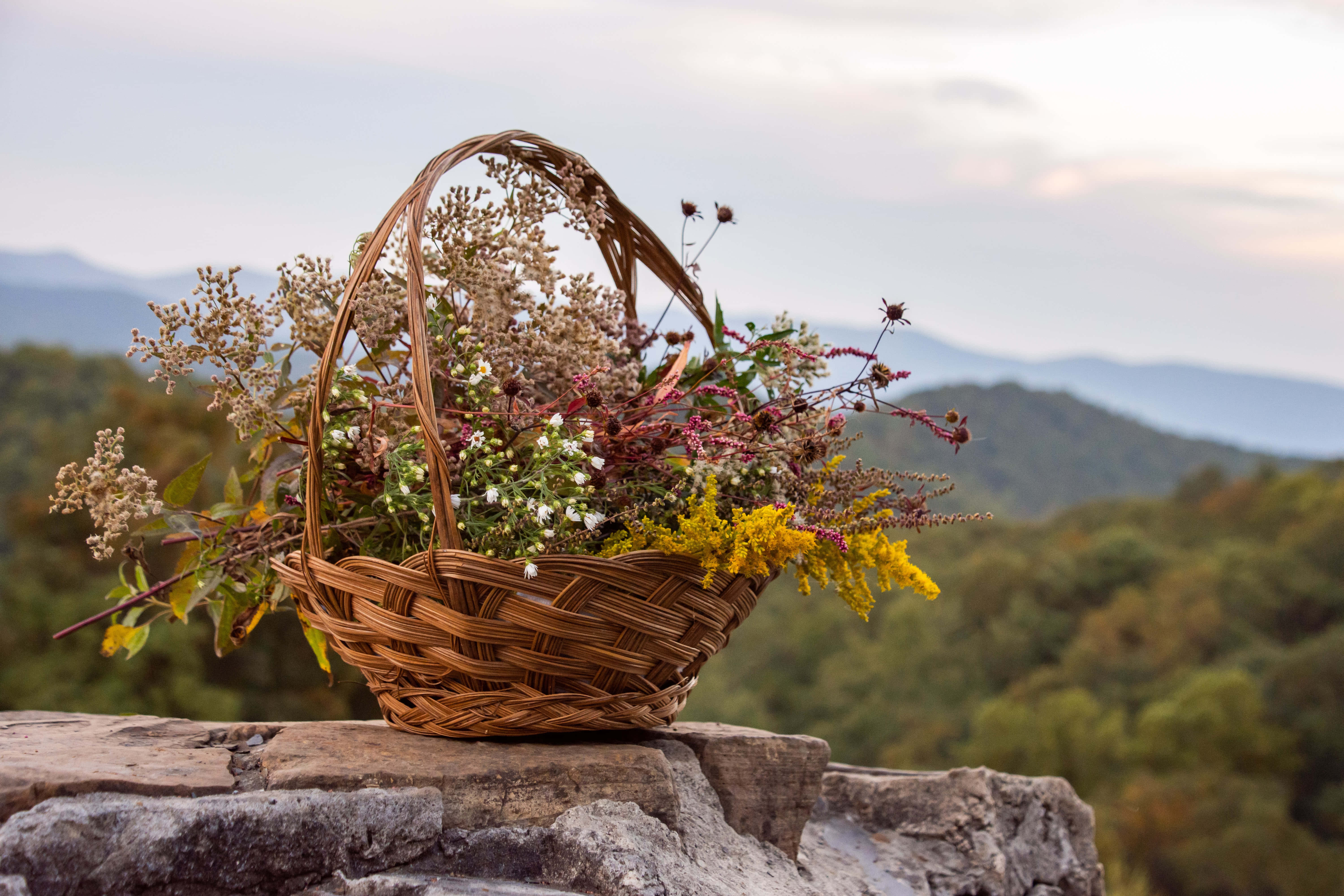 Fundal fermecător în stil Cottagecore Fundal