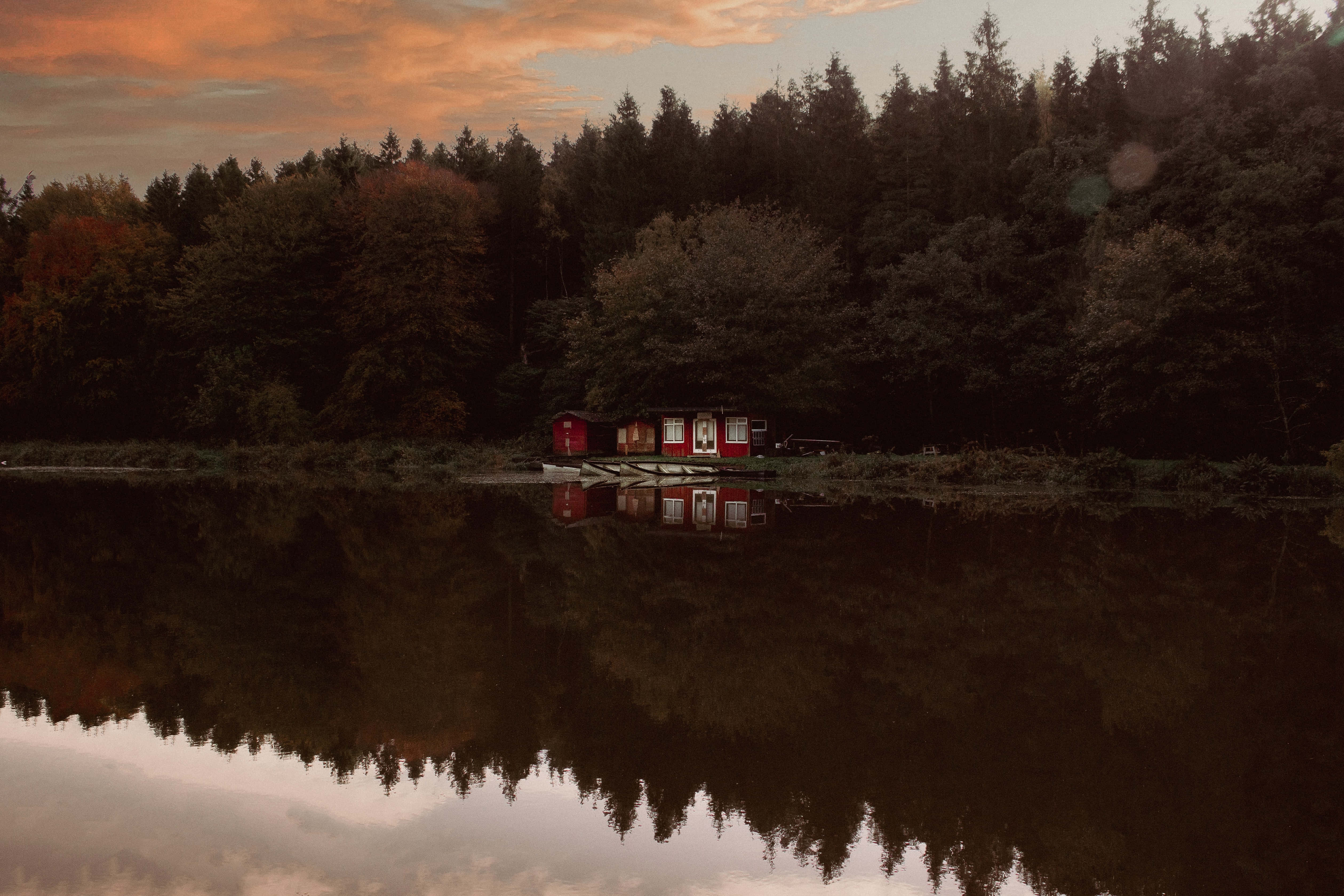 Fundal fermecător în stil cottagecore Fundal