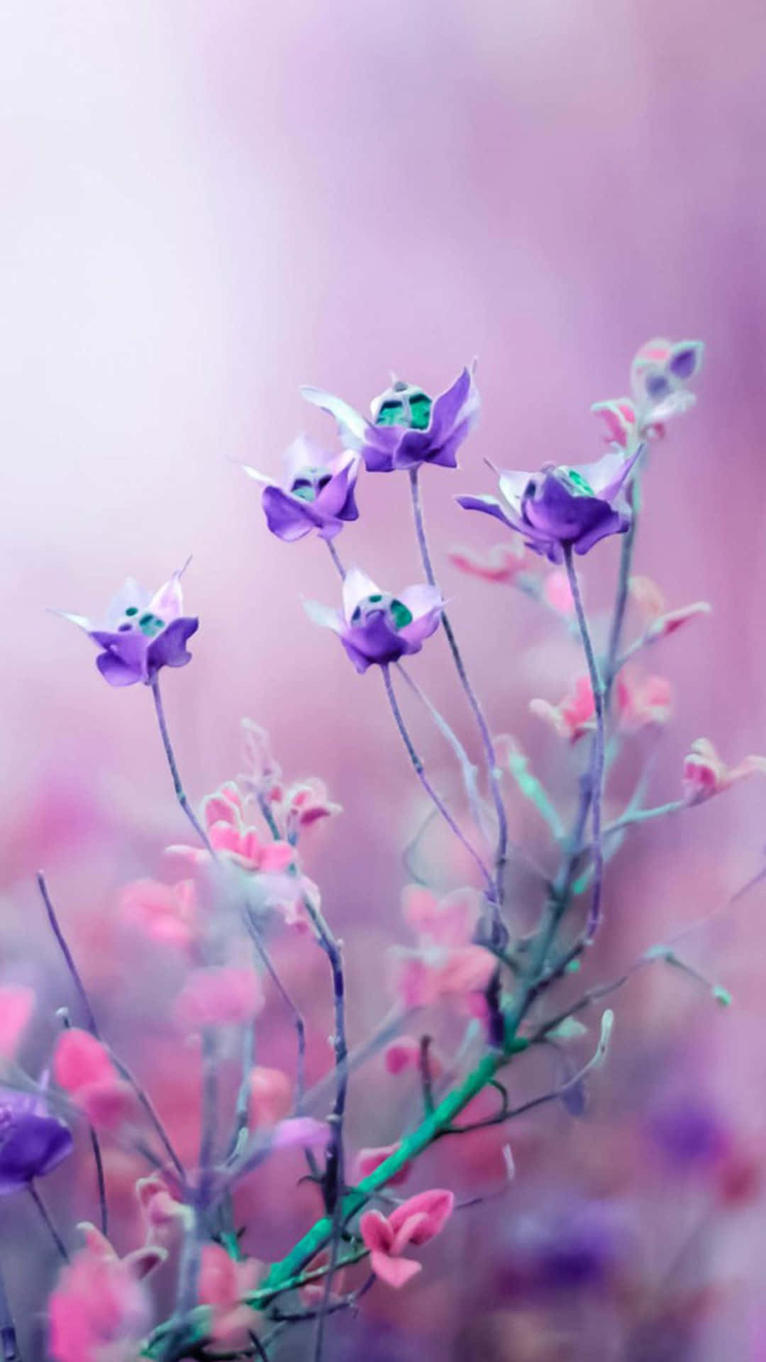 Fundal Floral Roz Încantator Fundal