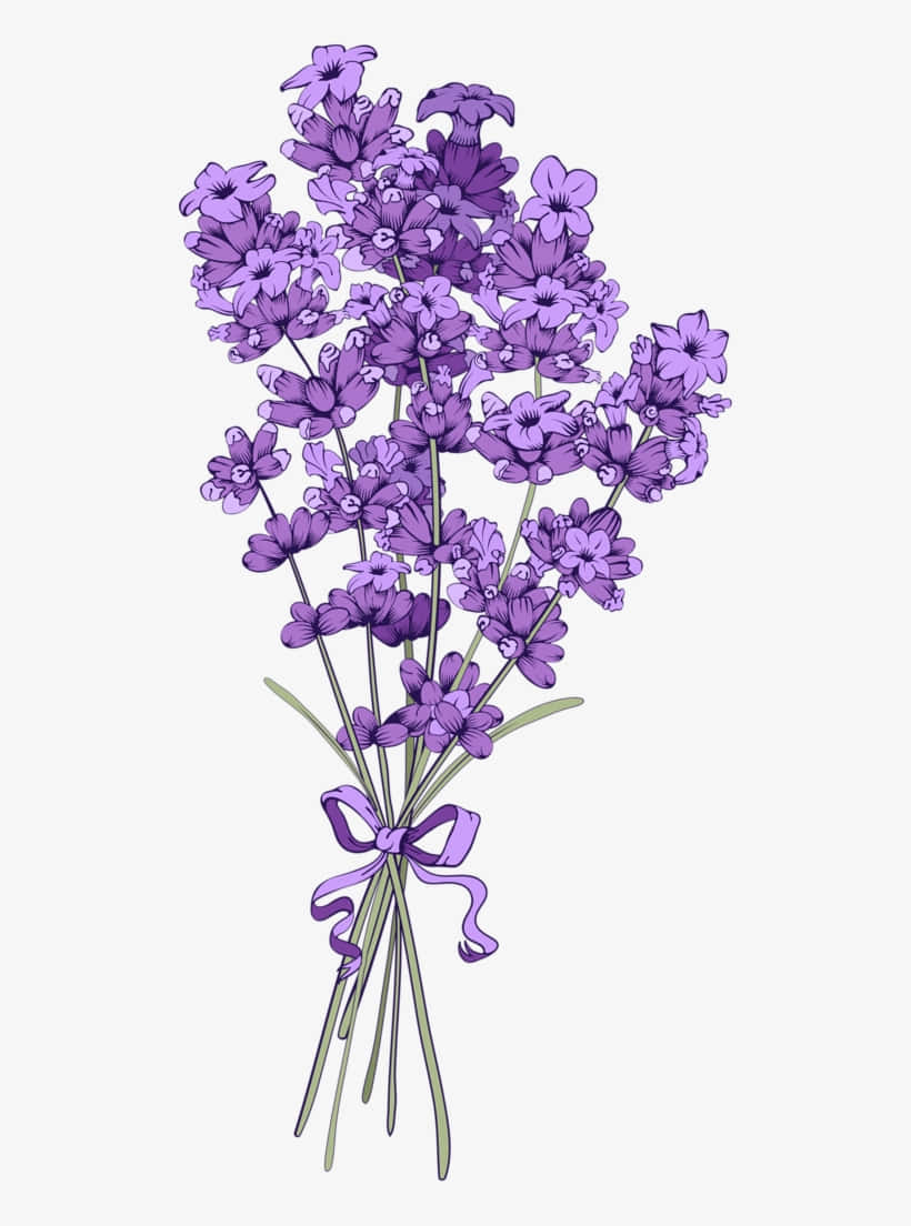 Fundal Floral Fundal