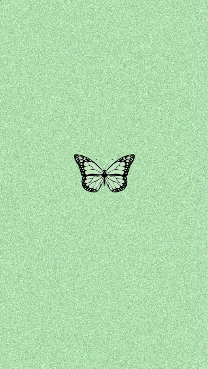 Fundal cu fluture negru și verde Fundal