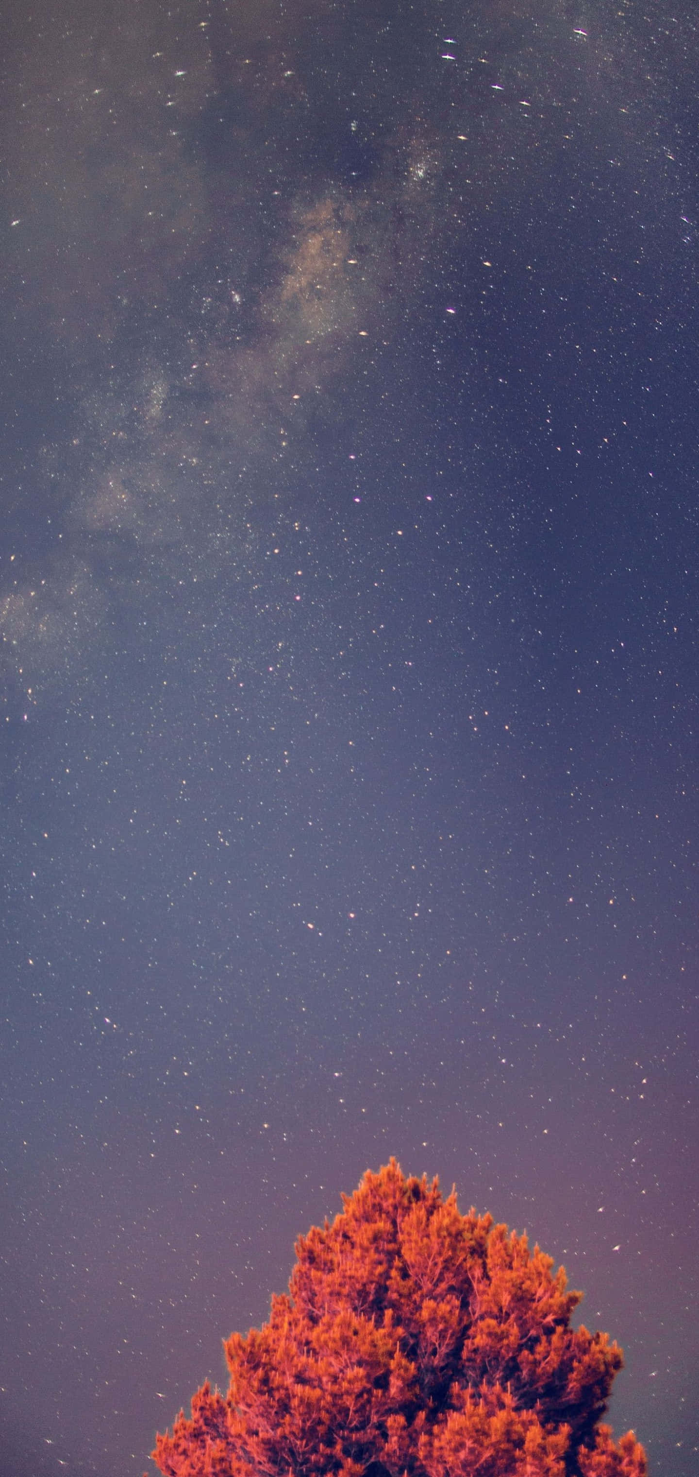 Fundal Galaxy S10 Plus Fundal