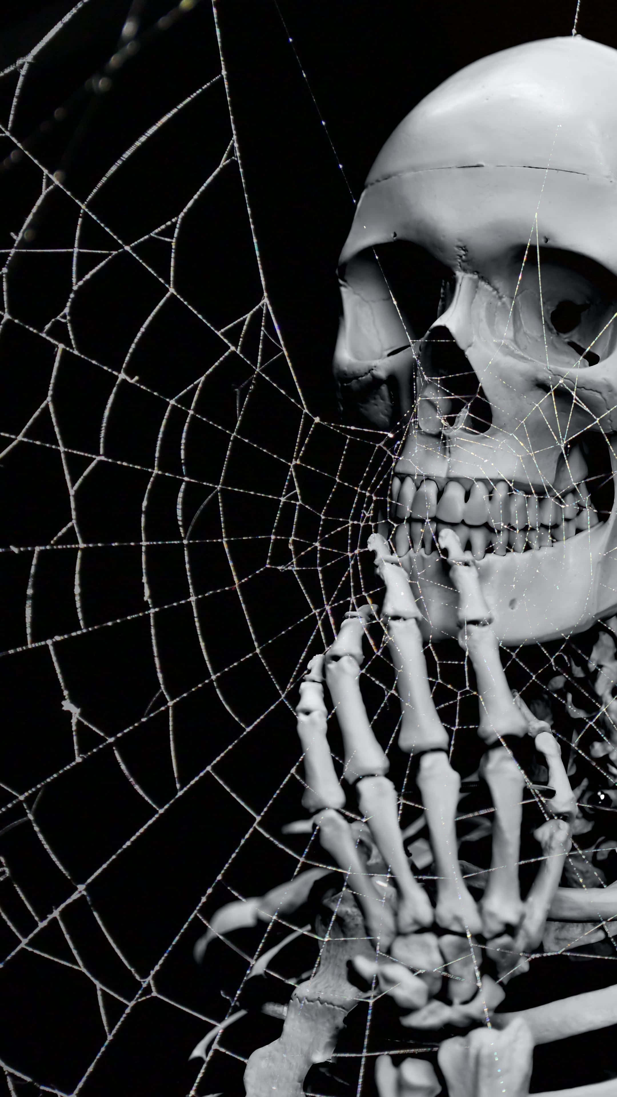 Fundal Halloween 2160 x 3840 Fundal