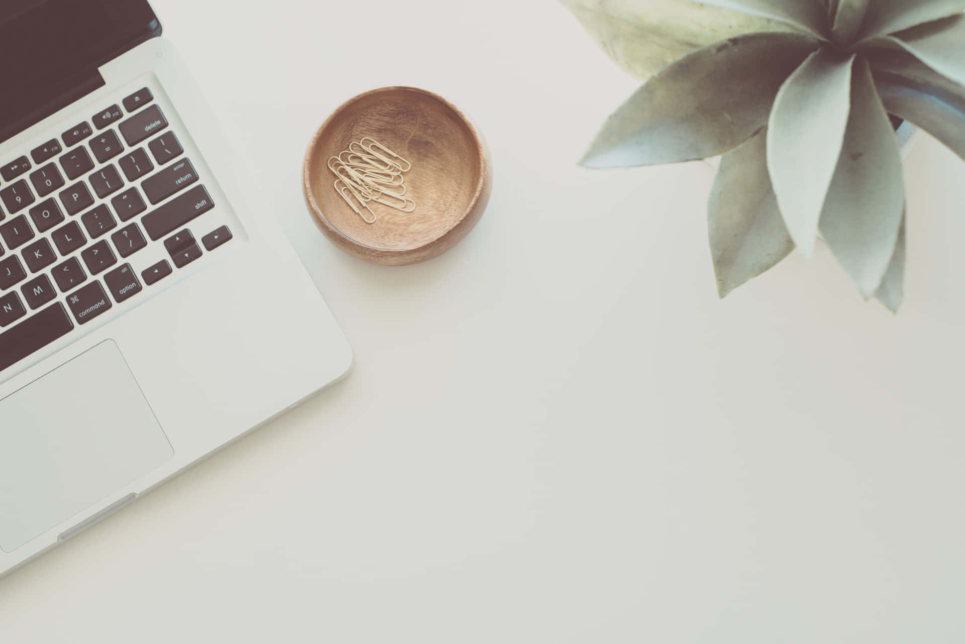 Fundal LinkedIn Simplu și Minimalist cu Birou Estetic Fundal