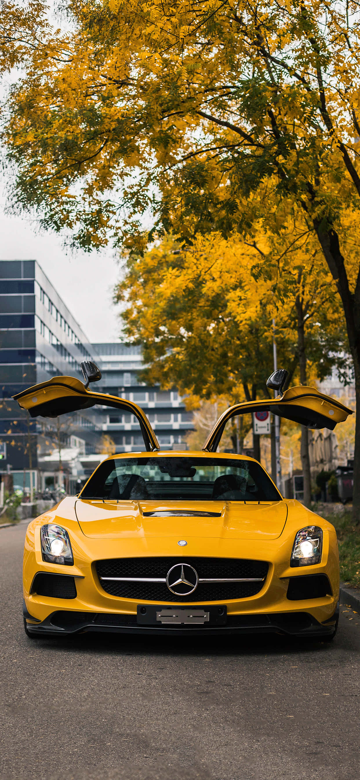 Fundal Mercedes Fundal