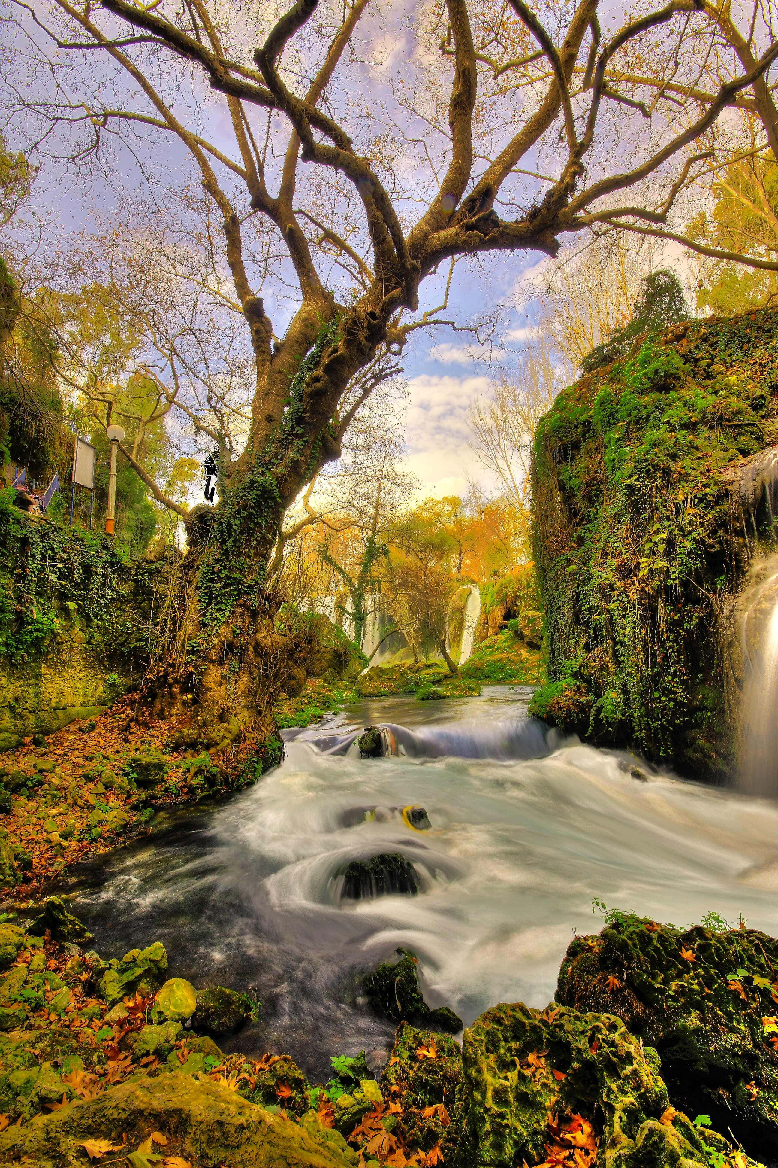 Fundal Natură Fundal