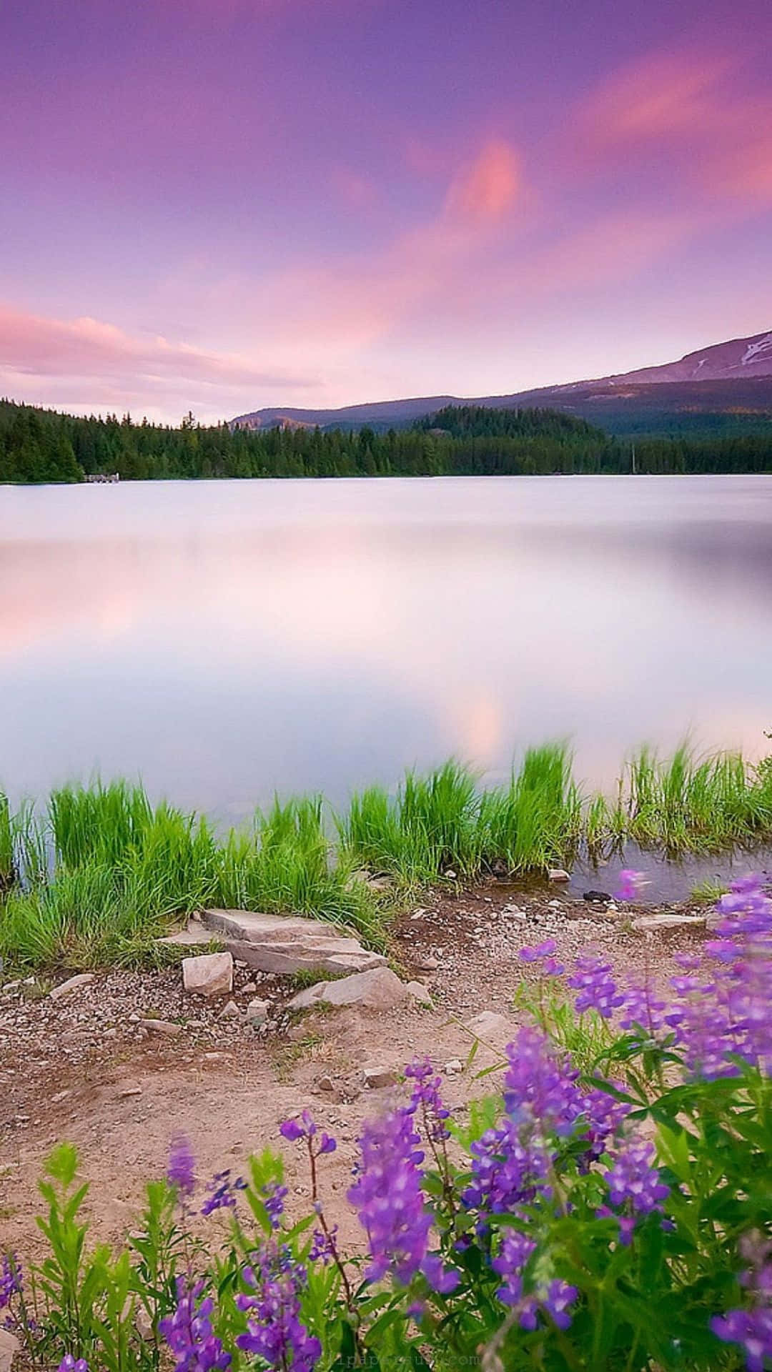 Fundal natural cu lac la apus violet Fundal