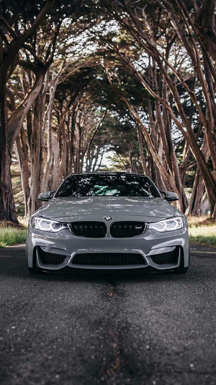 Fundal Pixel 3 BMW M4 în Silverstone Metallic II Fundal
