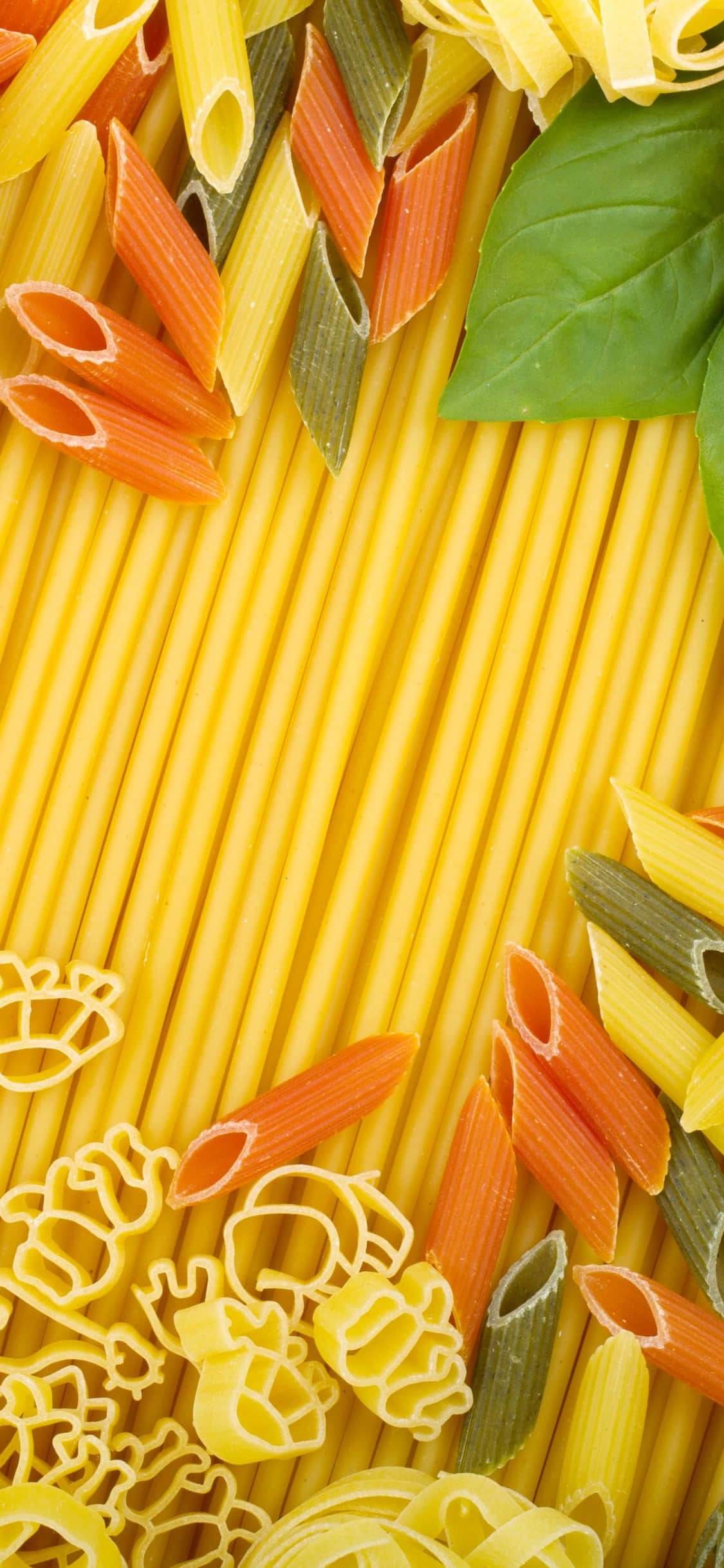 Fundal Pasta iPhone X Portocaliu și Verde Fundal