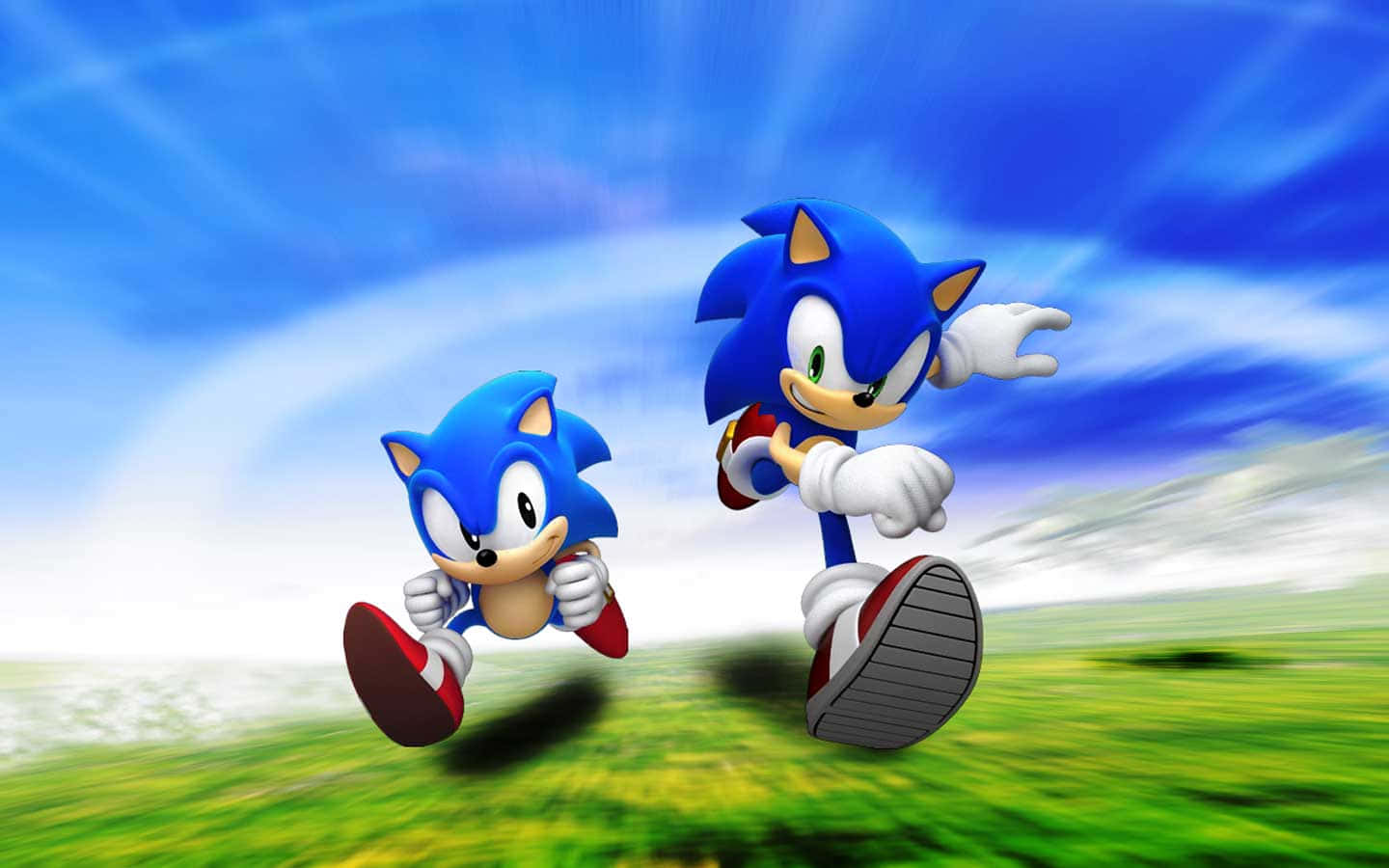 Fundal Sonic Fundal