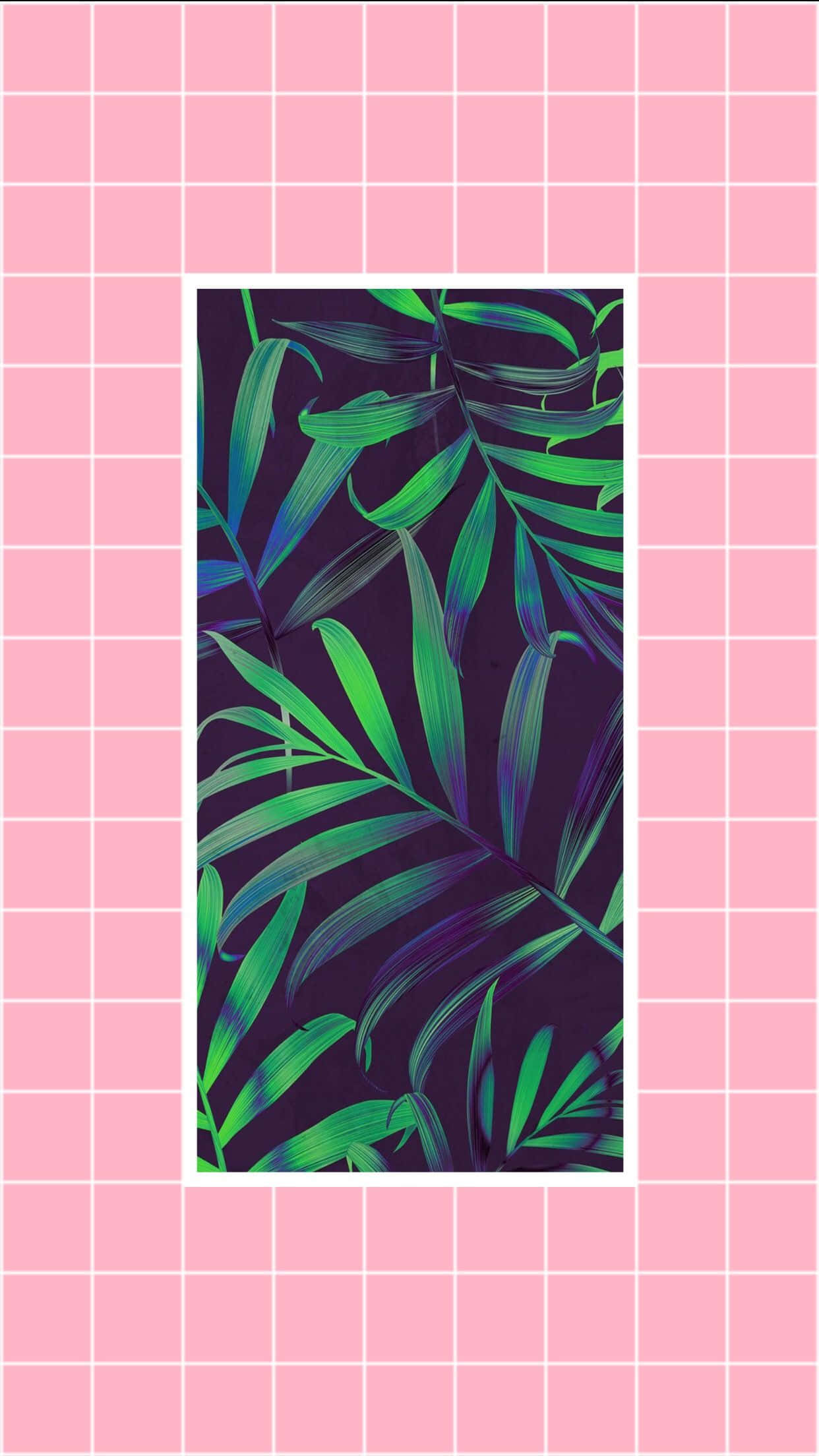 Fundal Telefon Natură de Primăvară Estetic Fundal