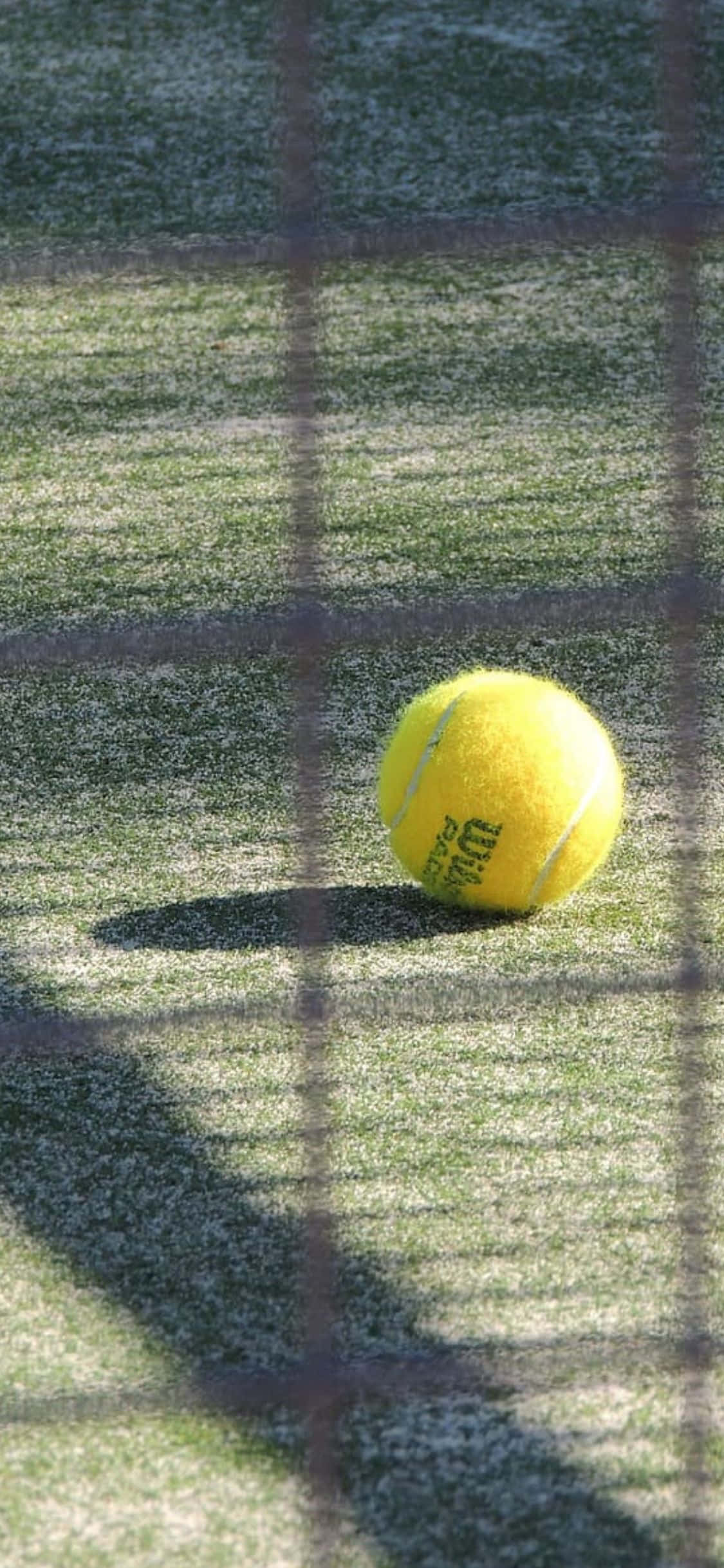 Fundal Tenis iPhone Xs Fundal