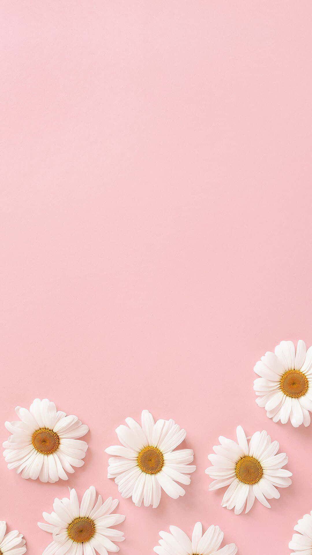 Fundal textură pastel roz minimalistic Fundal