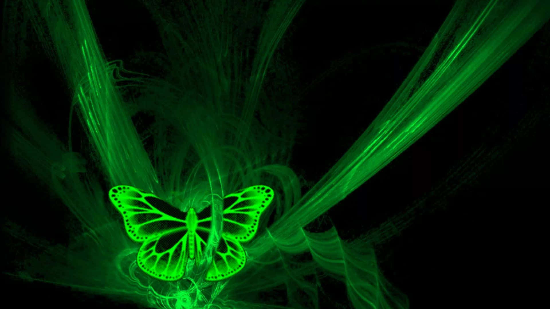 Fundal verde neon Fundal