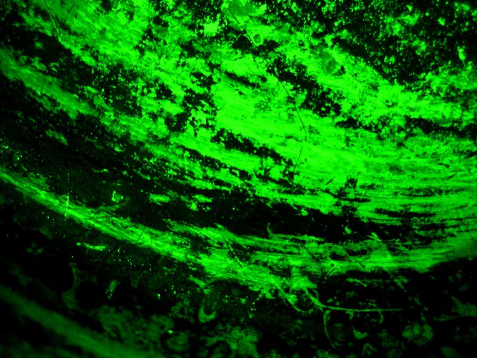 Fundal verde neon Fundal