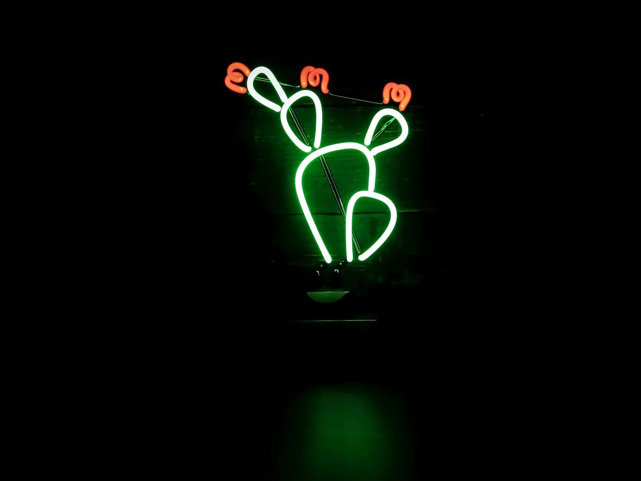 Fundal verde neon Fundal