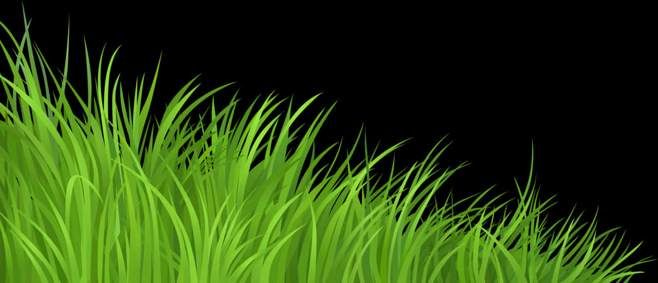 Fundal verde vibrant de iarbă Fundal
