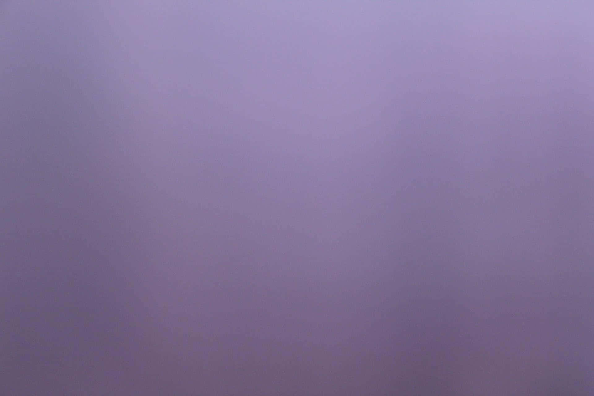 Fundal violet simplu Fundal