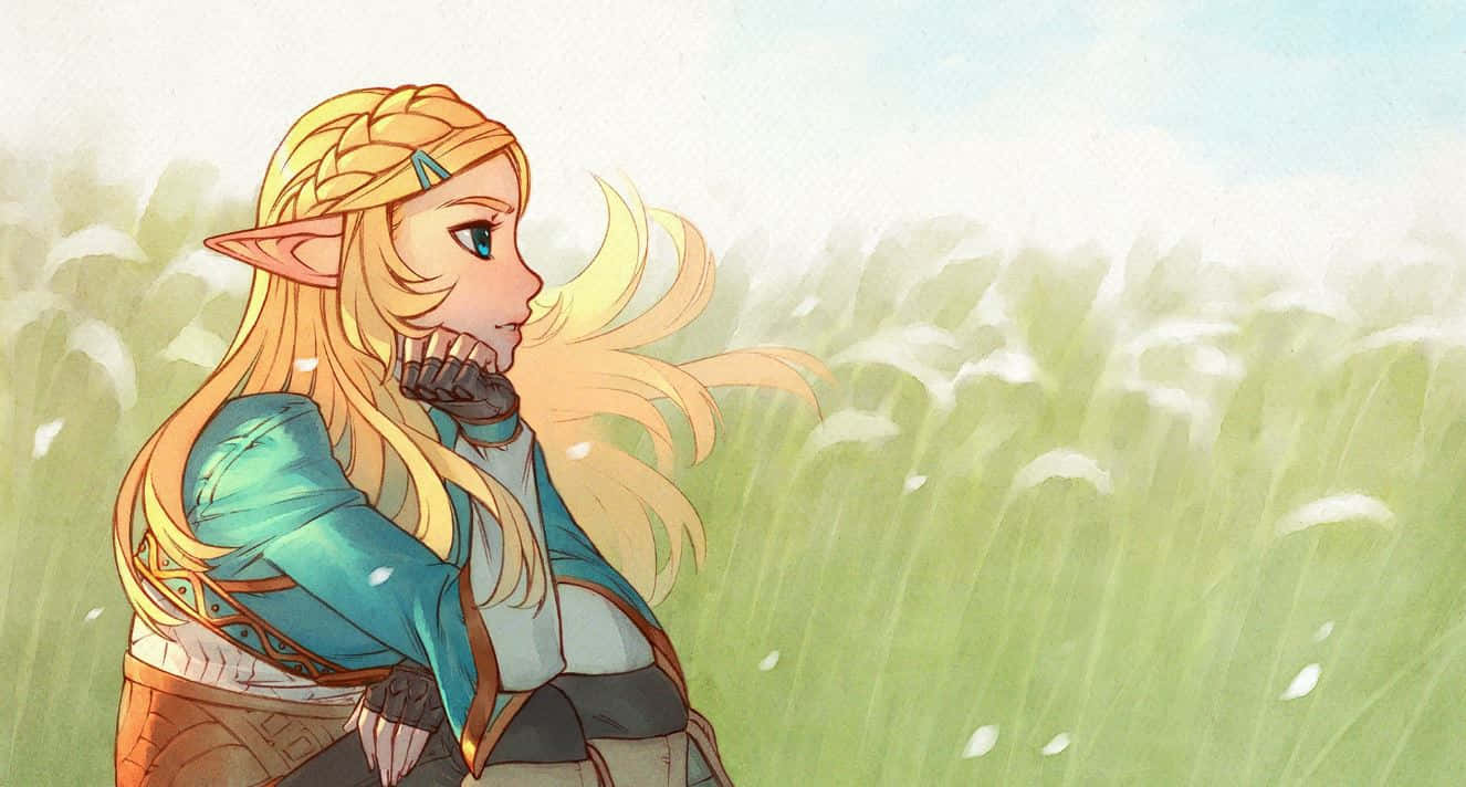 Fundal Zelda Fundal
