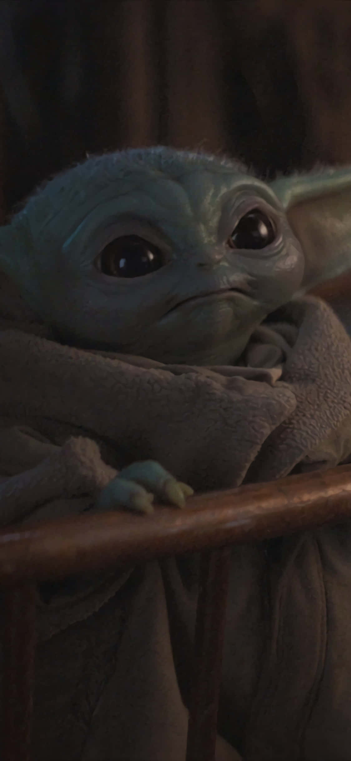 Fundal Zoom Baby Yoda Fundal