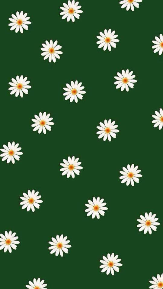 Fundoare Albe Pe Fond Verde Închis Fundal