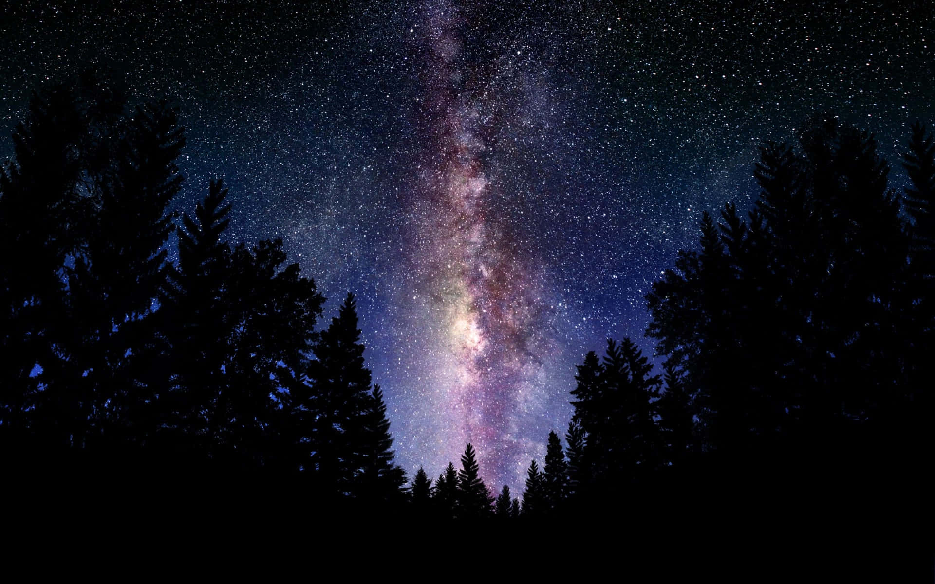 Galaxie frumoasă într-o pădure întunecată Fundal