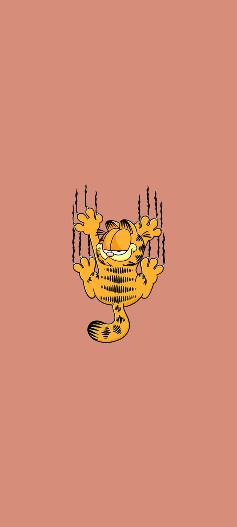 Garfield haotic și estetic, sfâșind tapetul Fundal